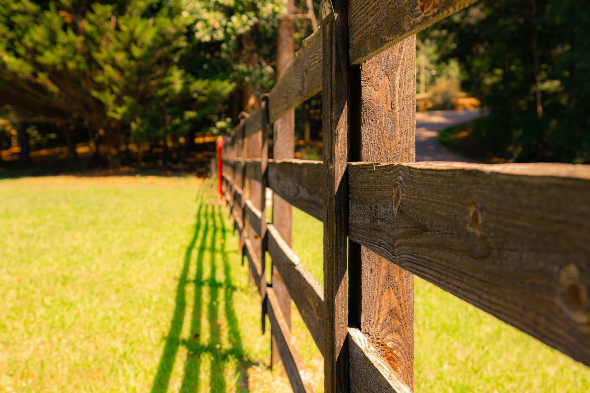 Wood rail fence with a maintained fence line and clear grass