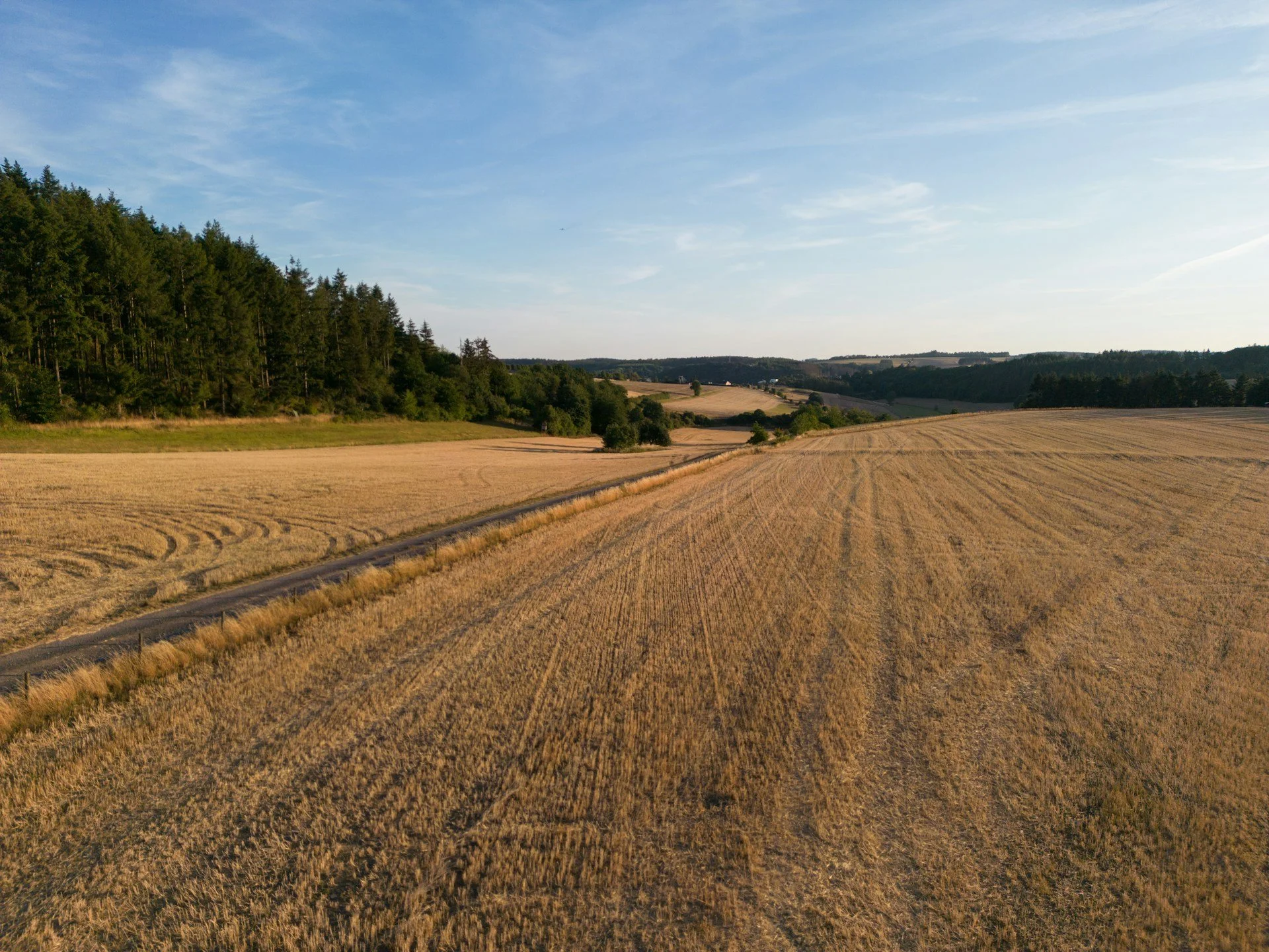Aerial view of open, cleared farmland bordered by dense trees