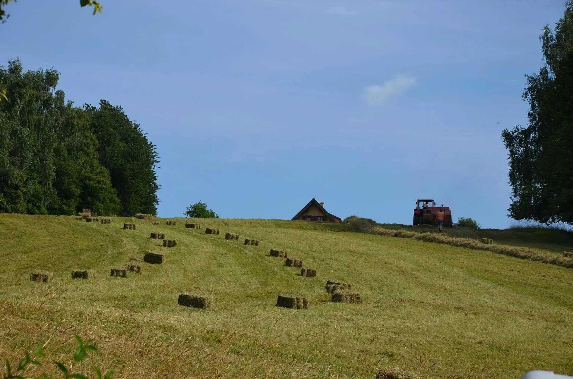 Cleared pasture field with hay bales after reclamation and mowing
