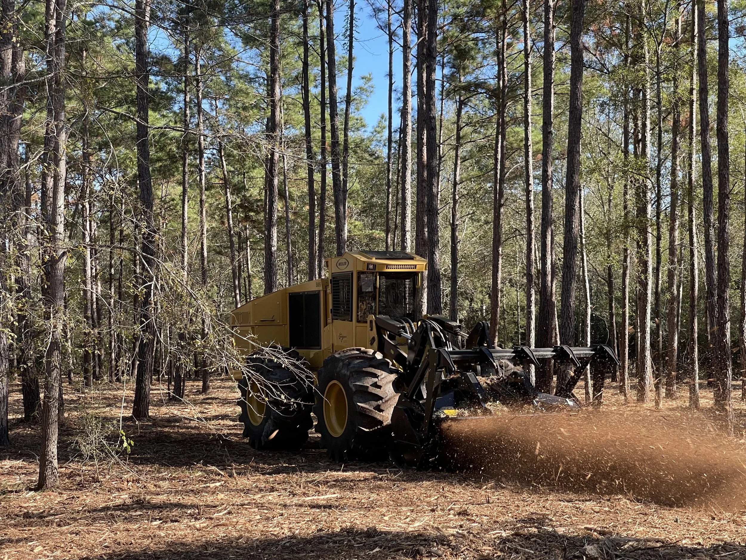 Active forestry mulching equipment in a wooded area
