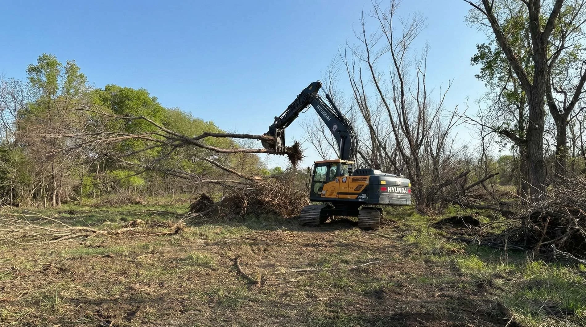 Tree and Stump Removal Service | 5K Land Management | Call For a Quote