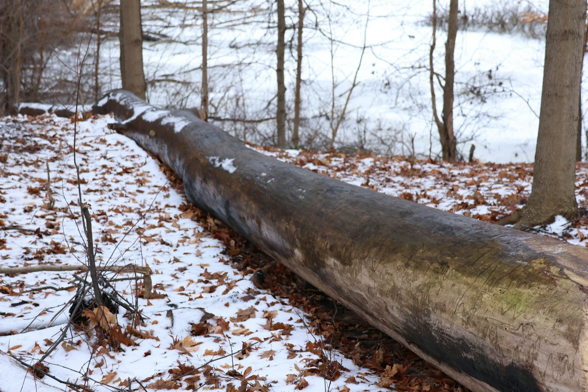 A Landowner’s Guide to Pipeline Right-of-Way Maintenance