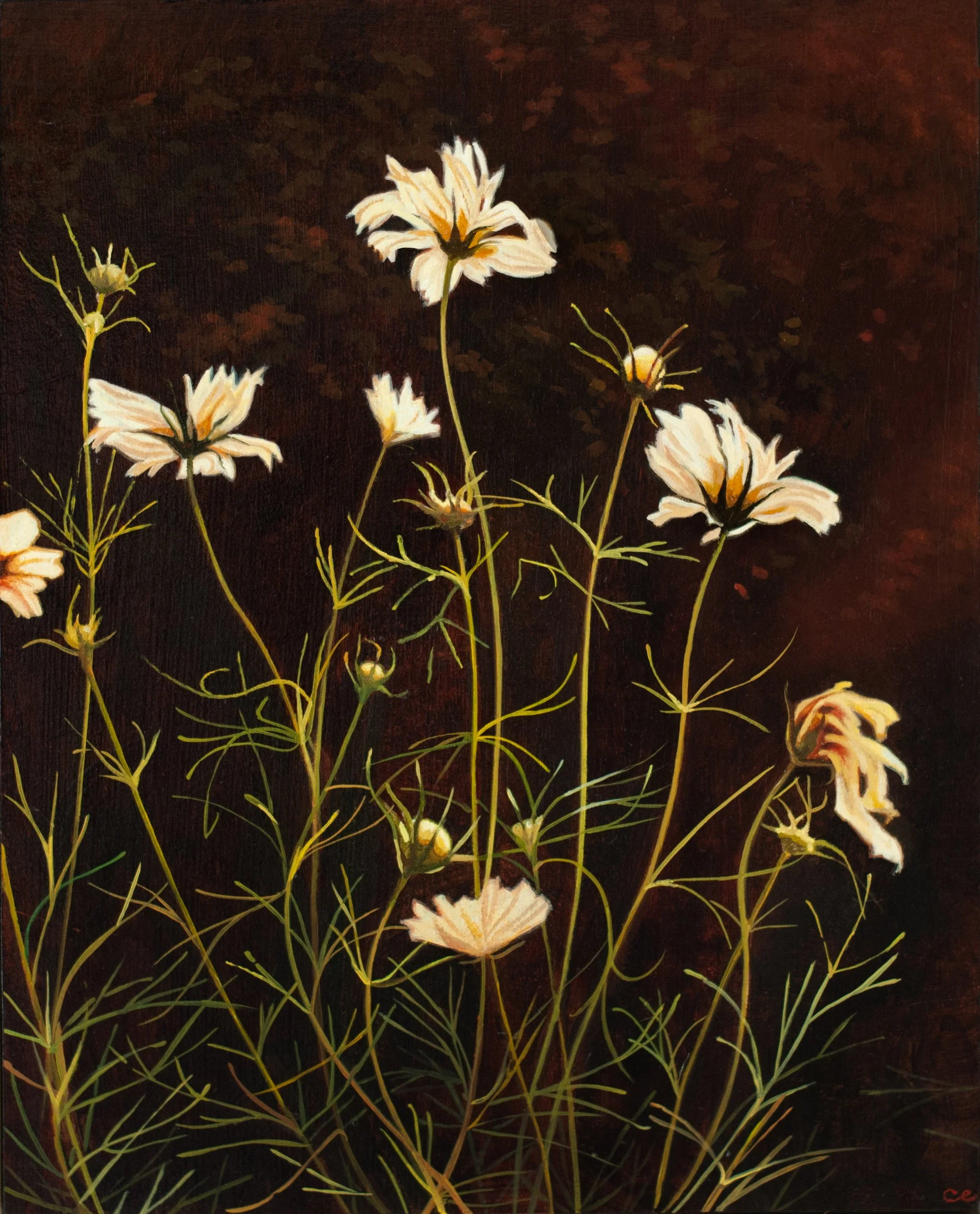Cosmos II. oil on panel. 8" x 10"
*private collection