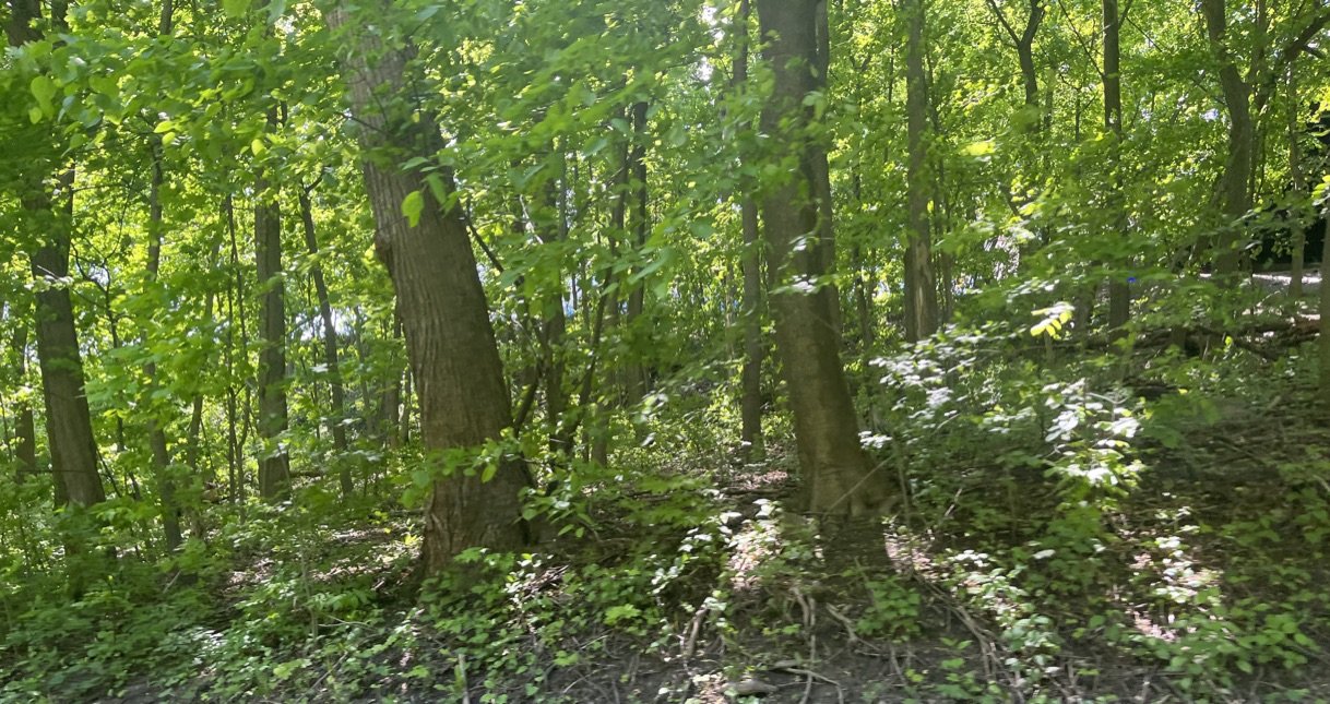 Series - Side Of The Road 1