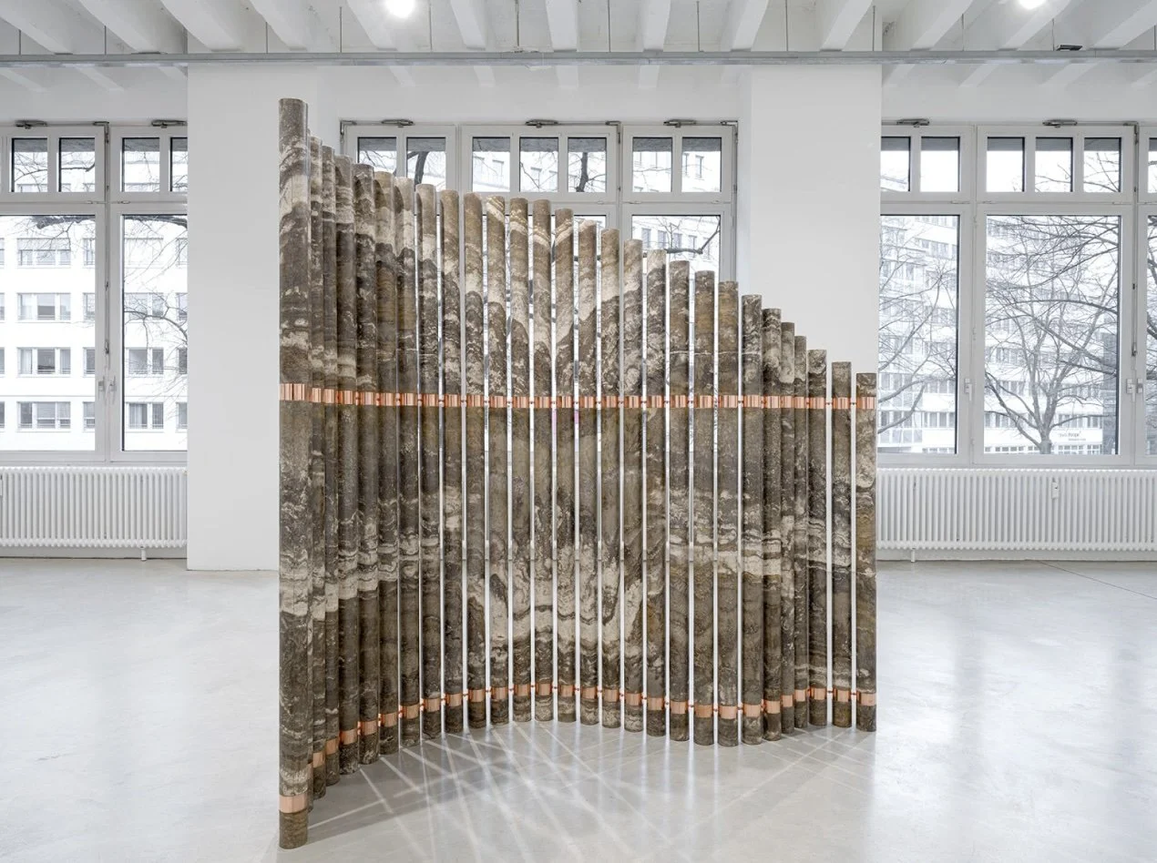 Upcoming: Opening Artist Talk with Elena Damiani and Ishmael Randall-Weeks at the Carpenter Center for the Visual Arts (February 5, 2026)