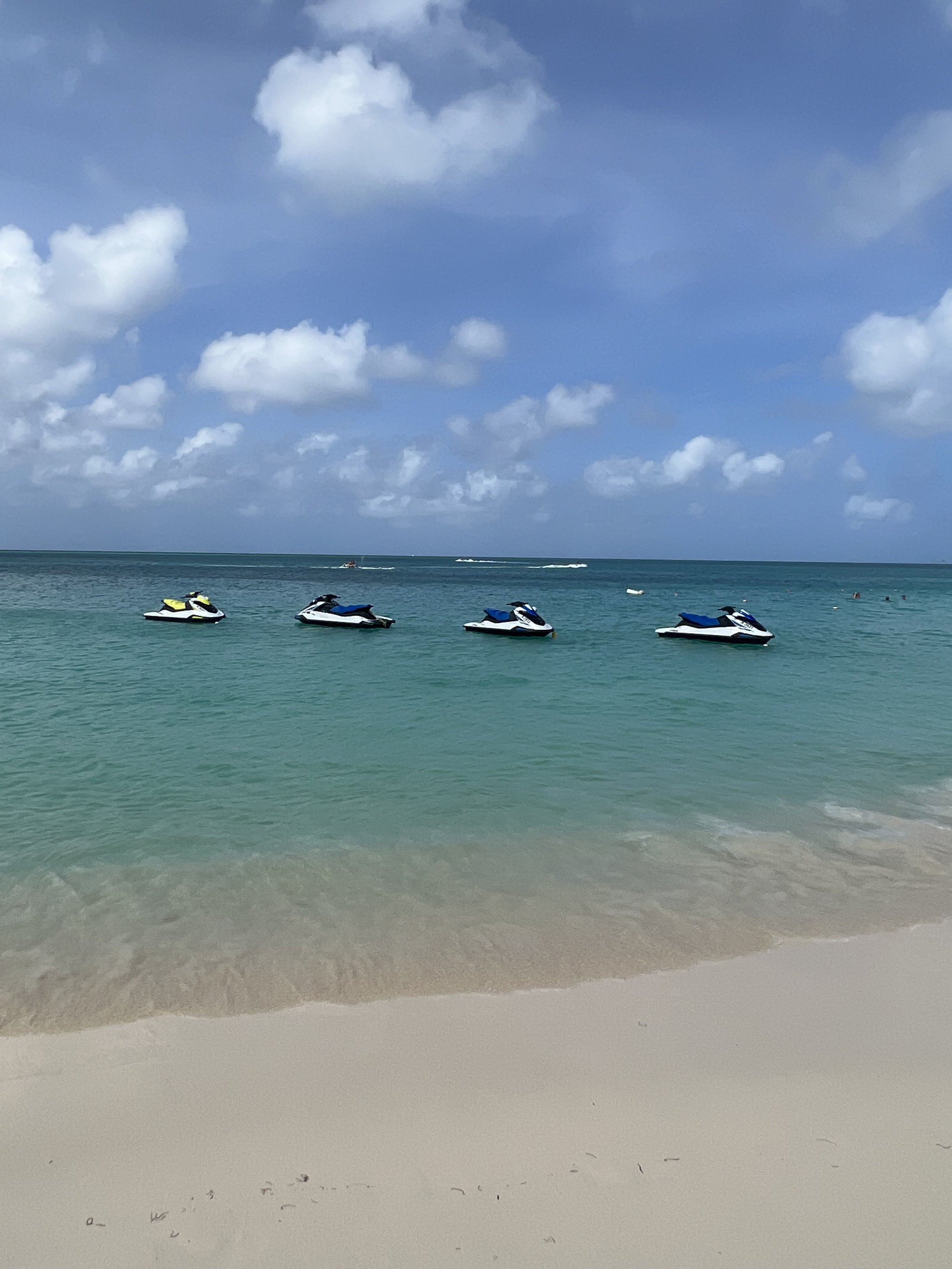 IMG_0730.jpeg