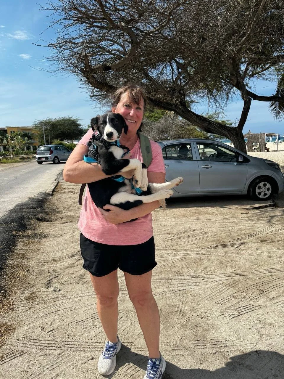 IMAGE 2024-12-16 17:05:27.jpg