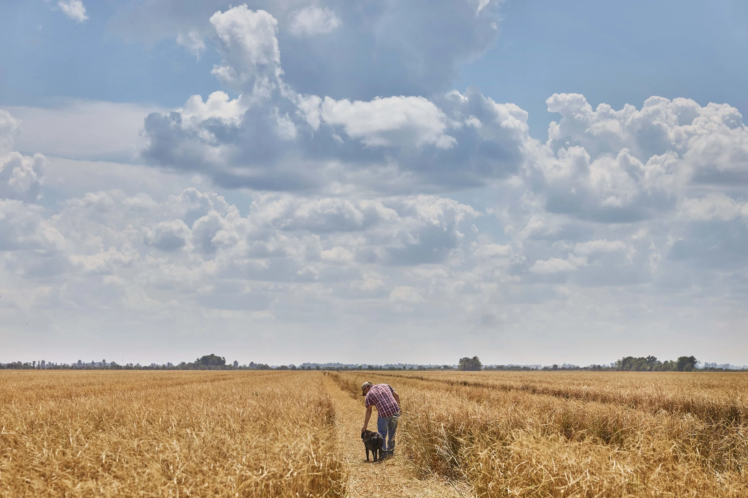 Regenerative Farming x Purina