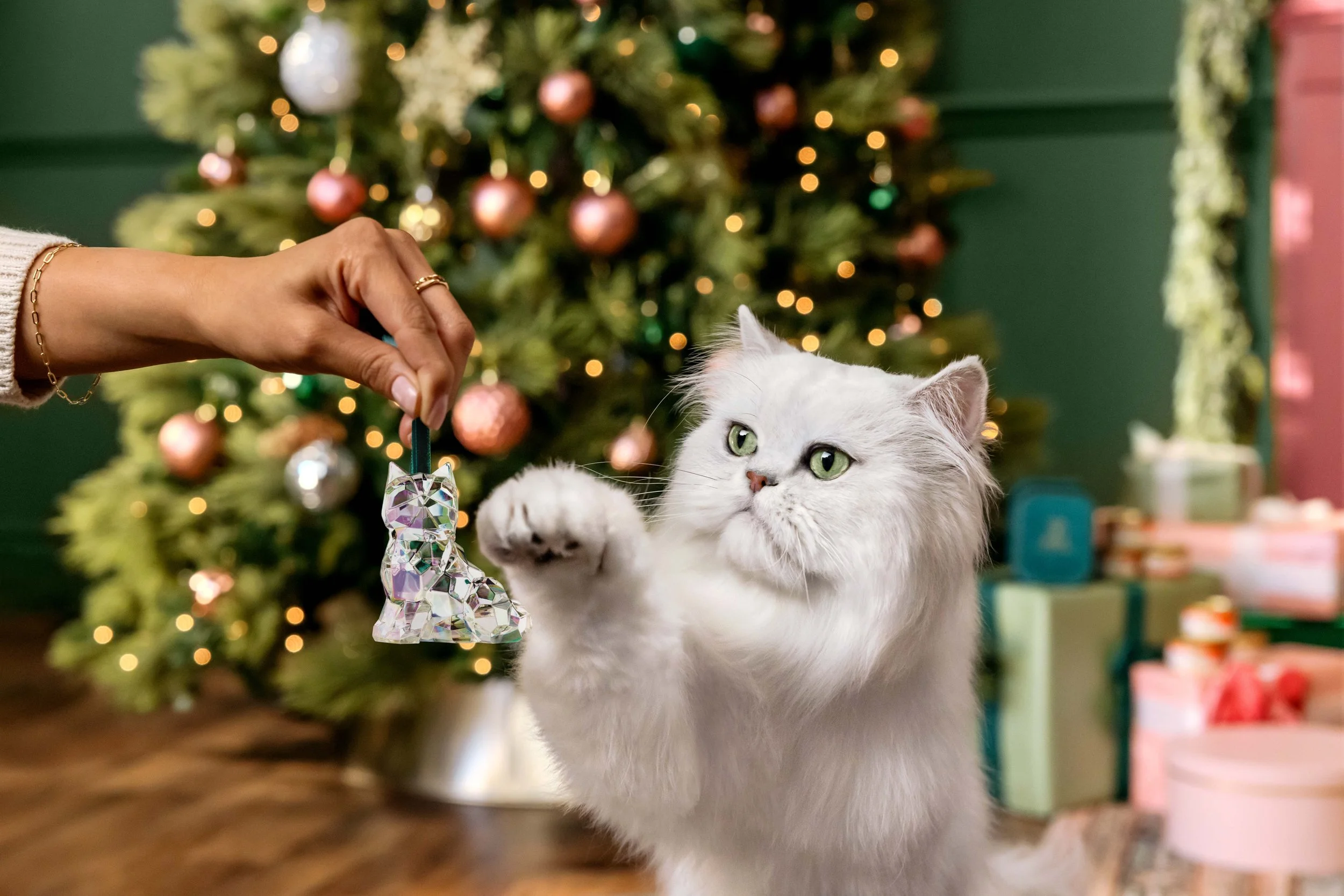 Fancy Feast Feastivities