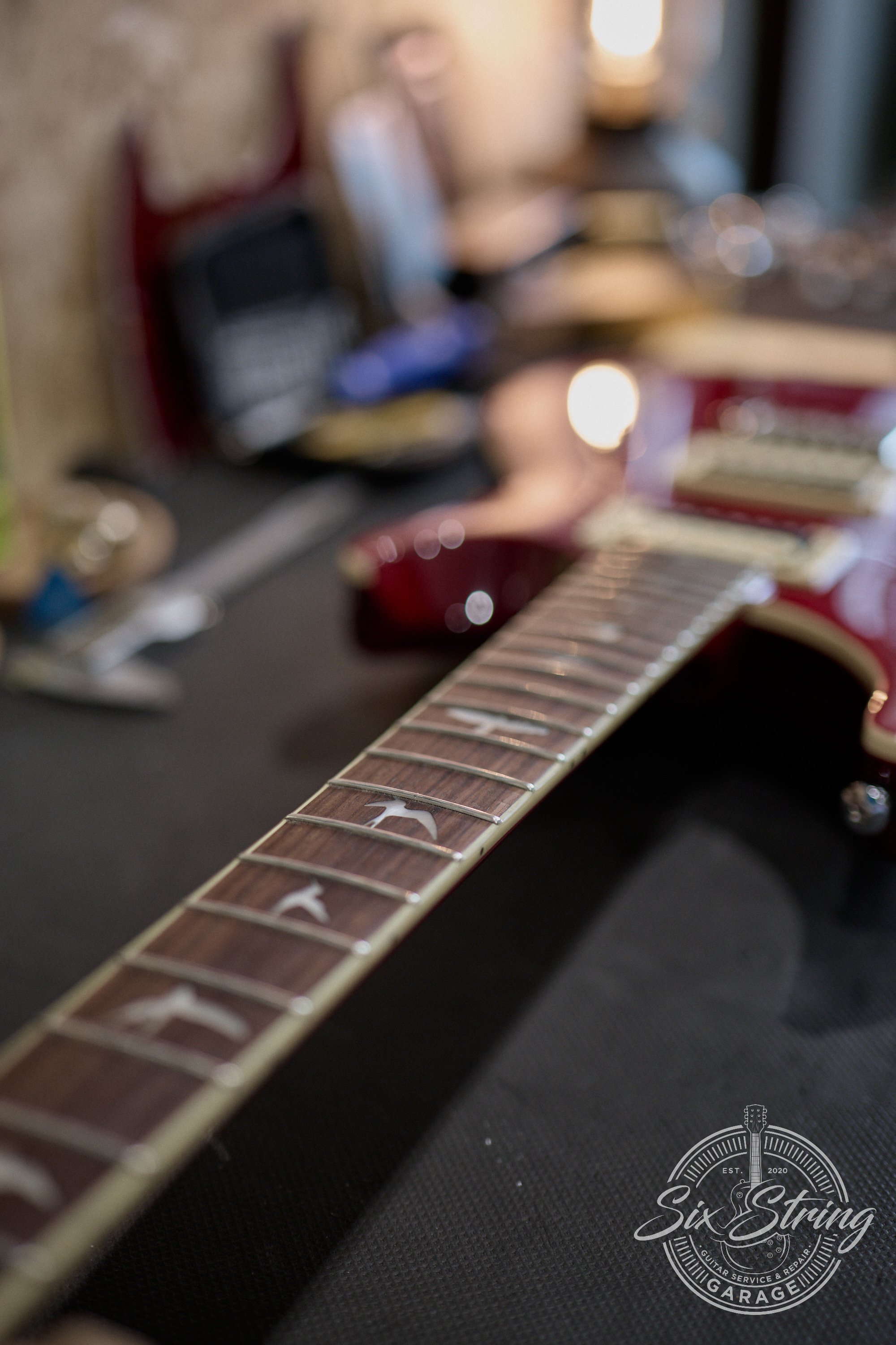 PRS SE Custom 24 - 19th Aug 2026 - 0001.jpg