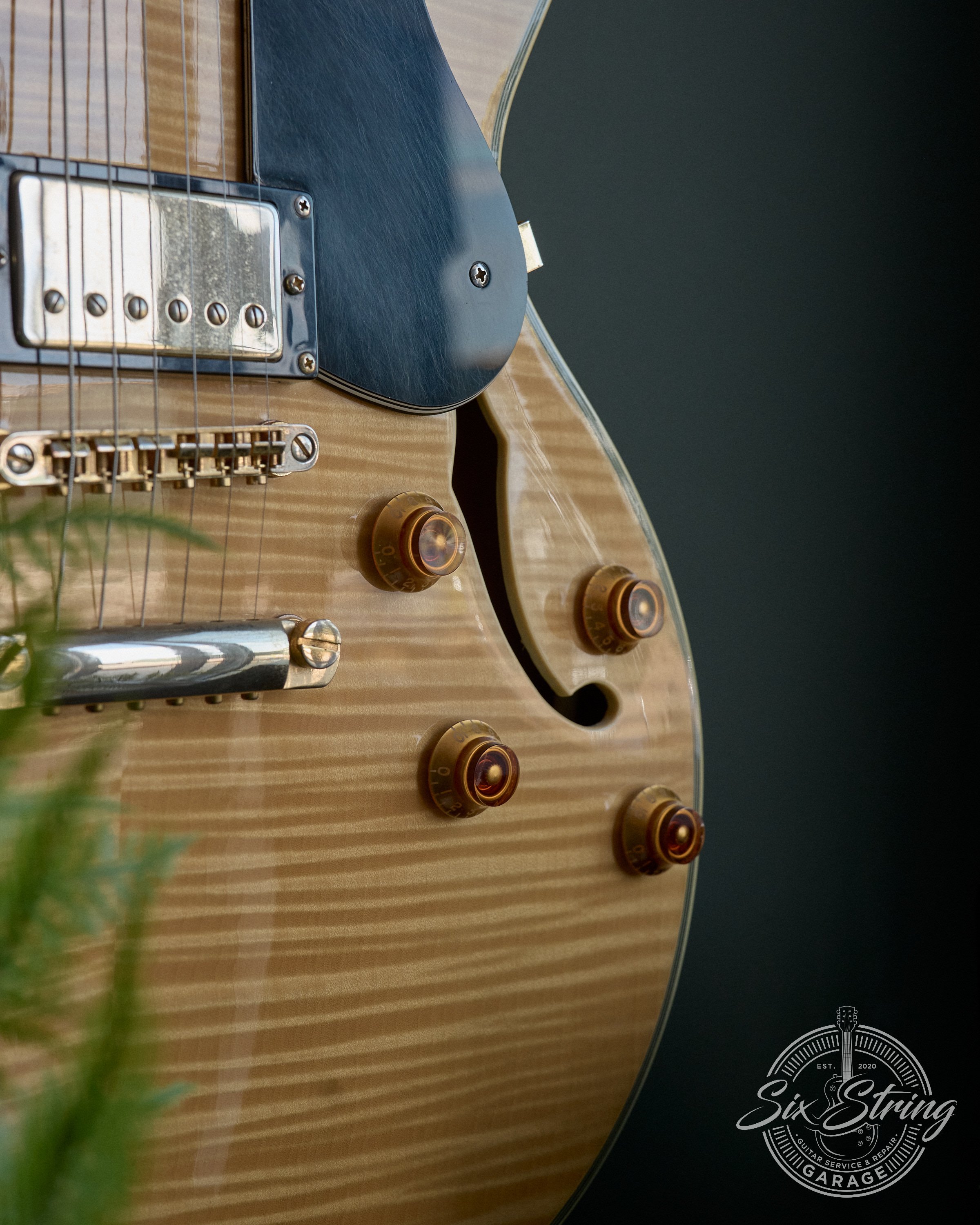 SSG-0003-washburn-HB-35-natural.jpg0006.jpg