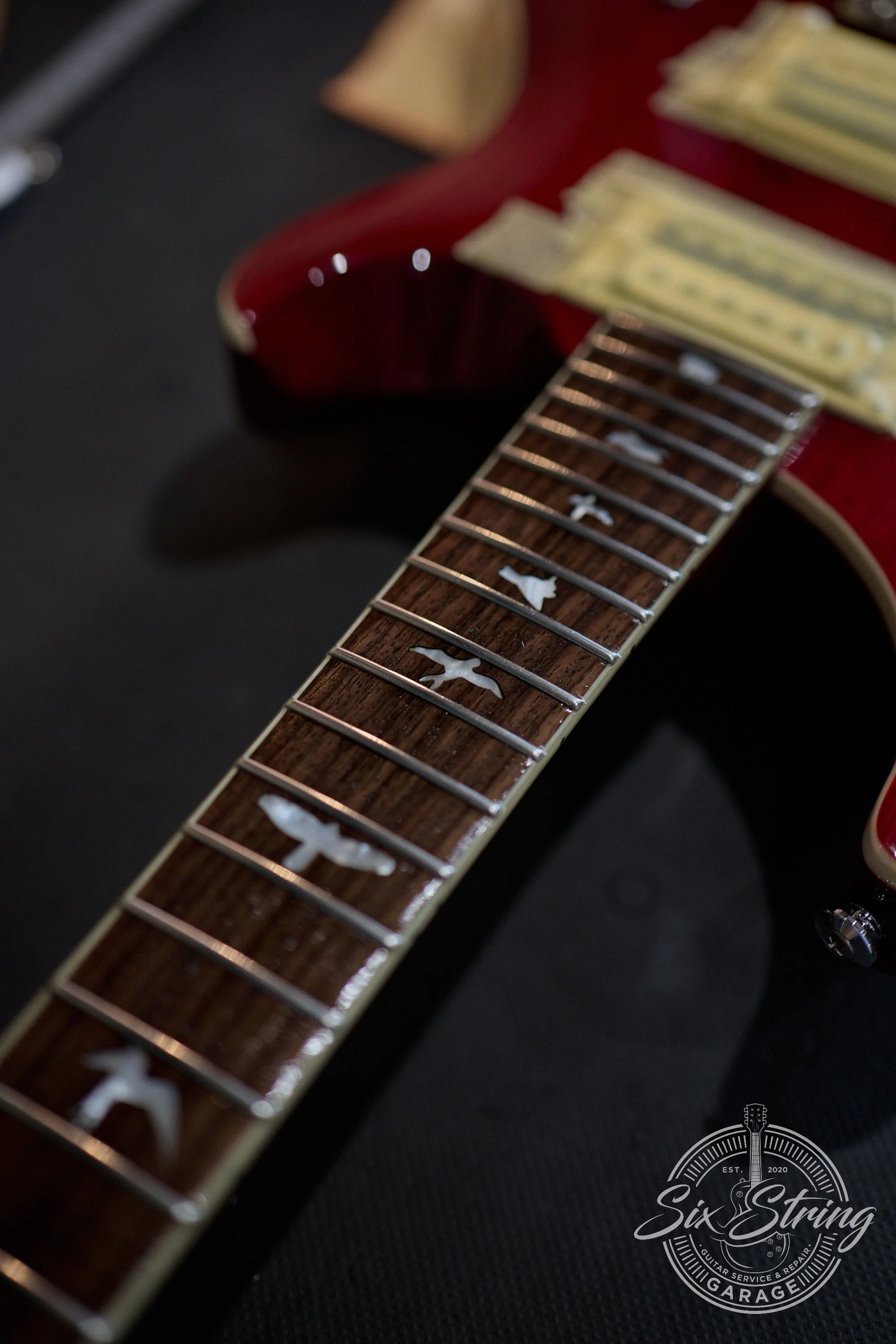 PRS SE Custom 24 - 19th Aug 2026 - 0008.jpg