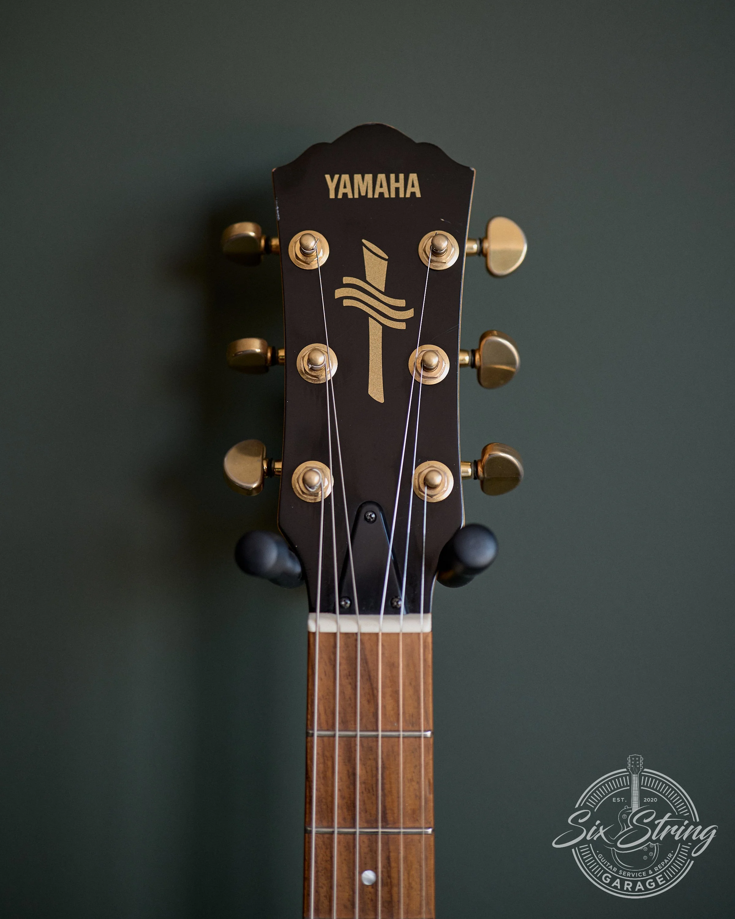 SSG-0005-yamaha-aex500-tobacco-sunburst.jpg0003.jpg