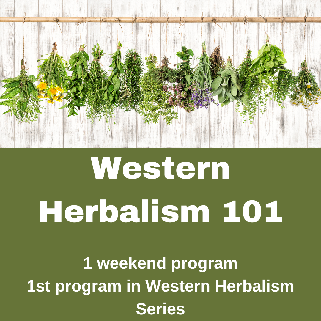 Acupuncture & Herbal Therapies