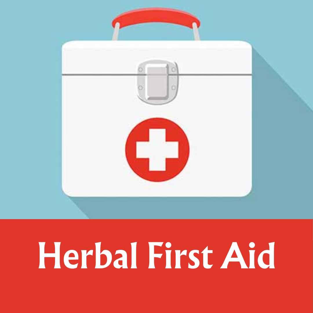 first aid starter kit.png