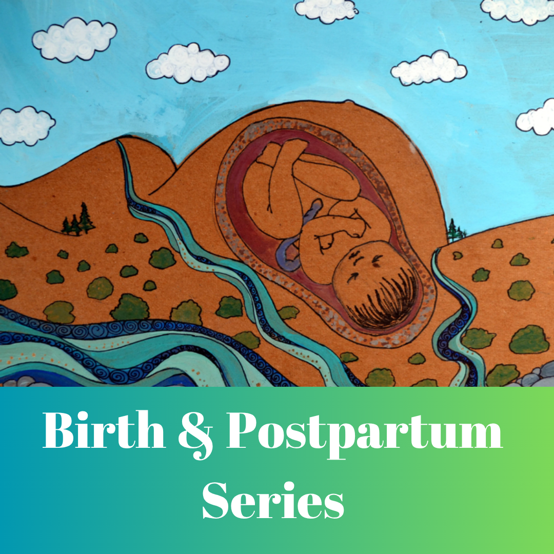 Birth & Postpartum Series Bundle.png