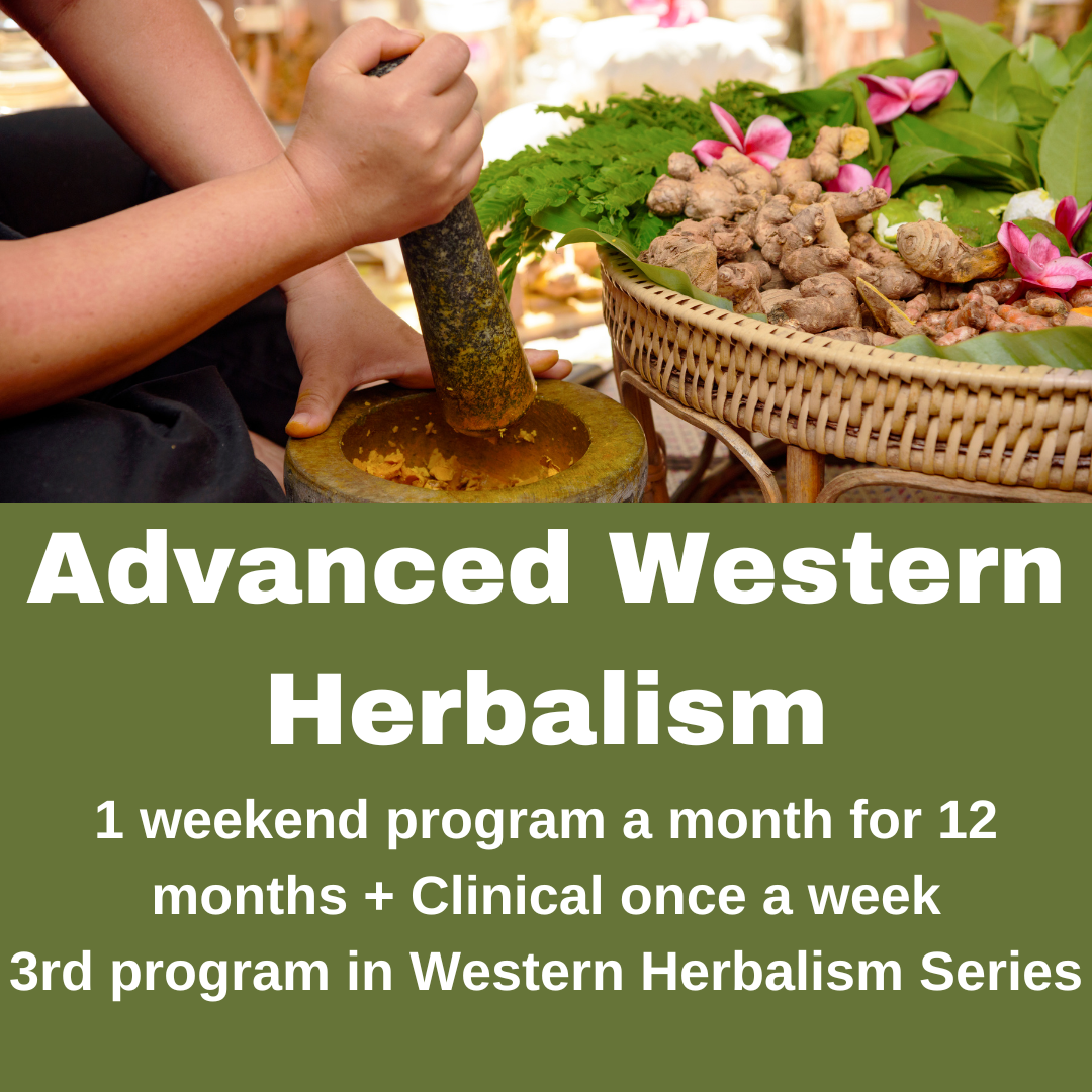 Traditions School of Herbal Studies