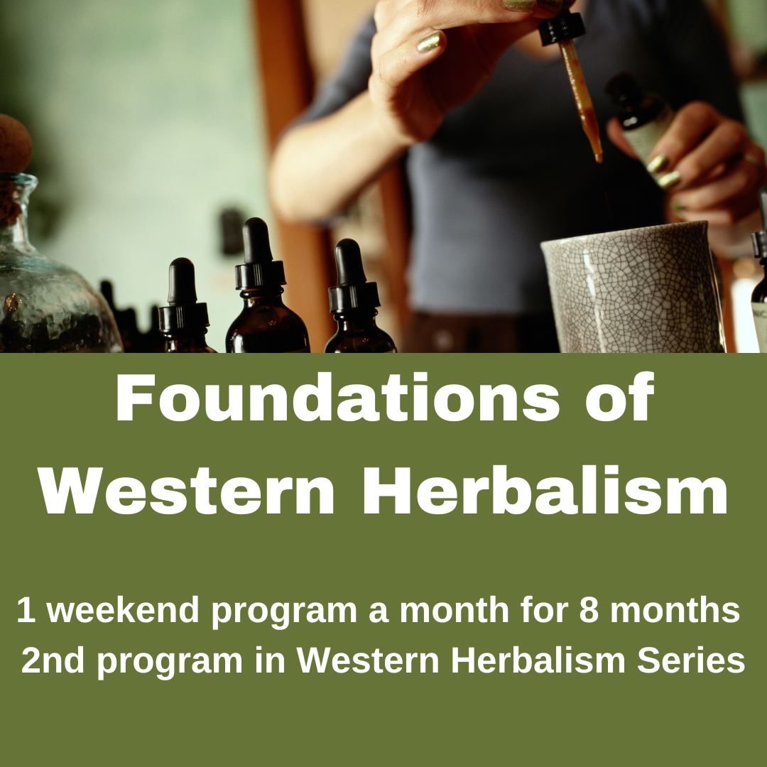 Traditions School of Herbal Studies