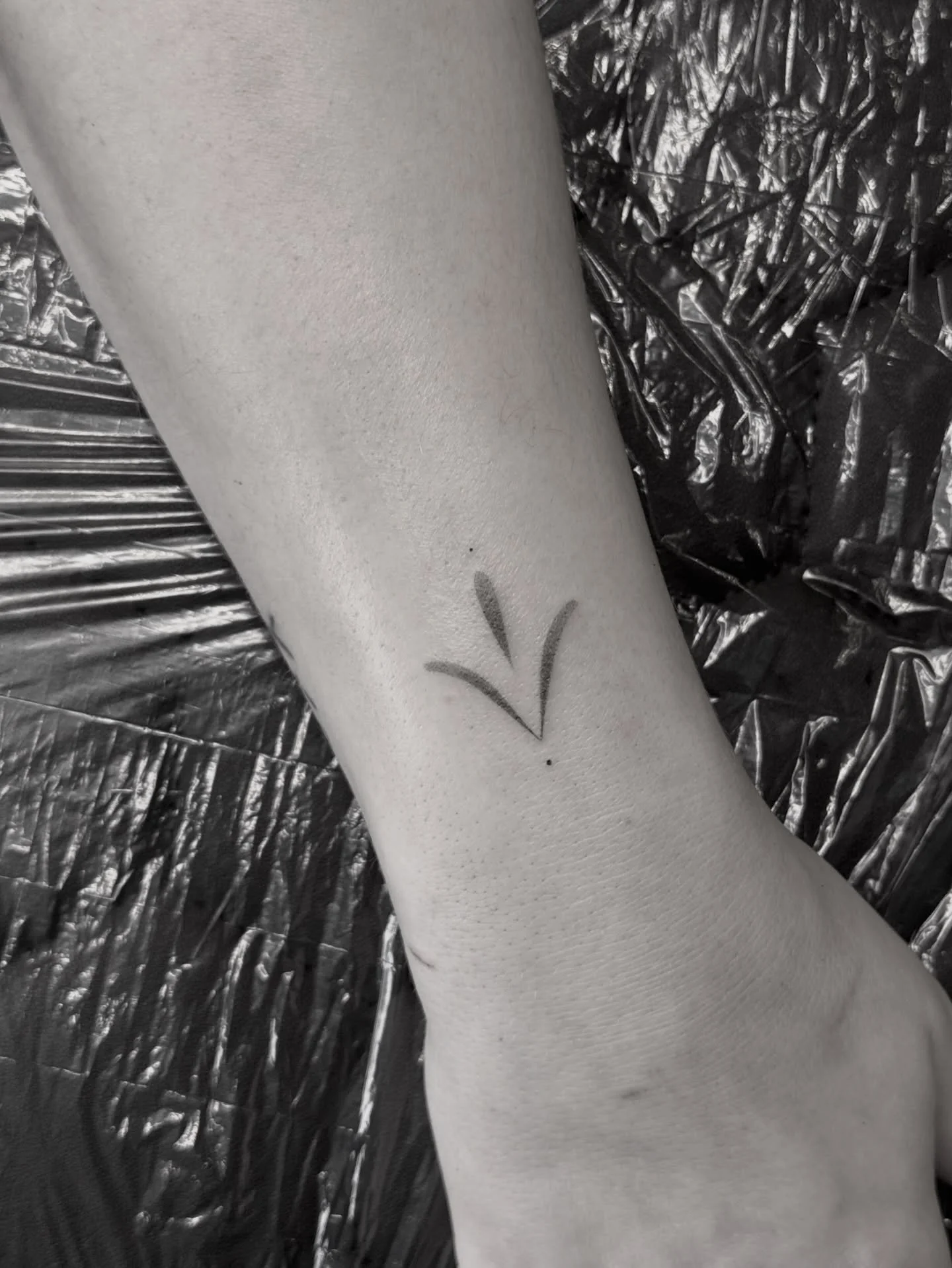 A few recent tats for the feed 😌
first from my flash (would love to do more of this vibe!!), custom matching sister tats, handwriting from her dad 🫶🏻

#madisonfinelinetattoo #madisontattooartist #finelinetattooartist #wisconsinfinelinetattoo #wisc