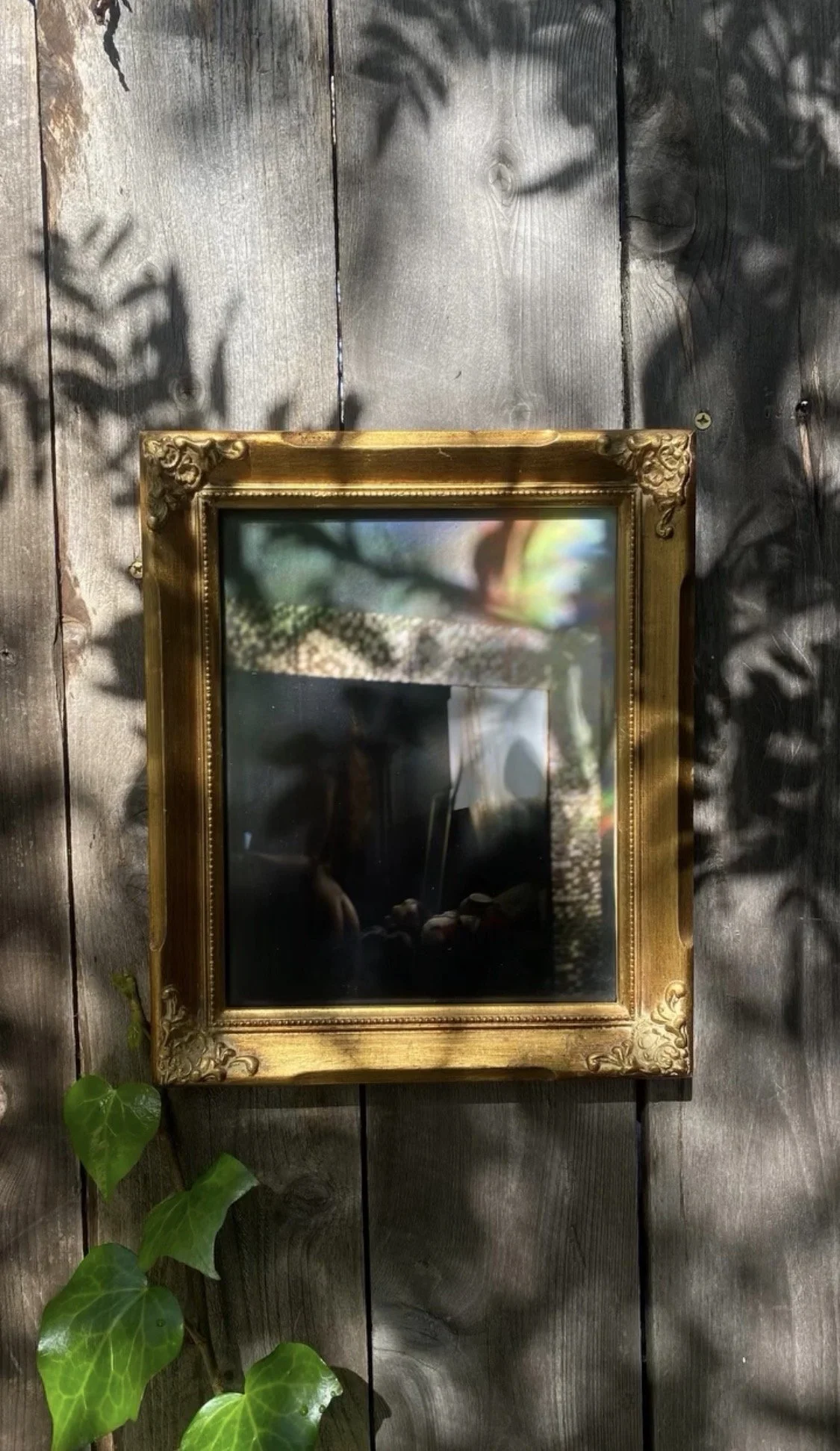 Photo Jan 23 2026, 3 30 14 PM.jpg