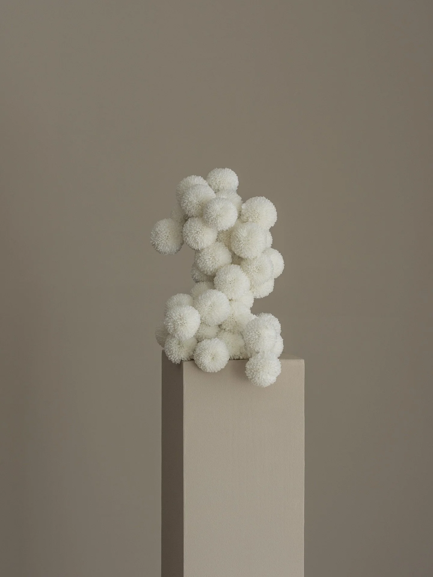 Chrysanthemum
.
.
.
#bosque #floralconcept #floraldesign #floral #floralphotography #fineart #art #photography #season #florist #floraldesigner #lifestyle #tablescape #setdesign #styling #minimal #raw #decor #tabeldecor #architecture #white  #chrysan