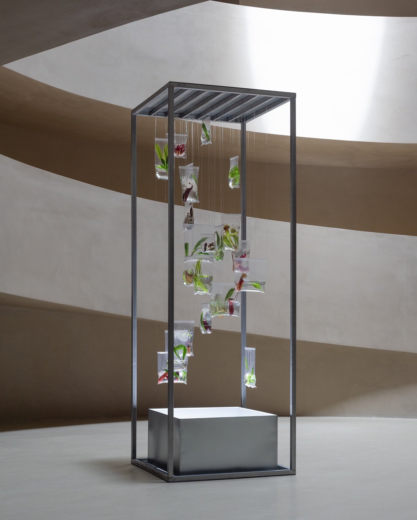 Botanical Theatrics / Highlights + Process
.
Some projects linger long after they&rsquo;re finished, not for a single reason but for many. Sometimes it&rsquo;s the effortless chemistry with the couple and the team. Other times, it&rsquo;s because the