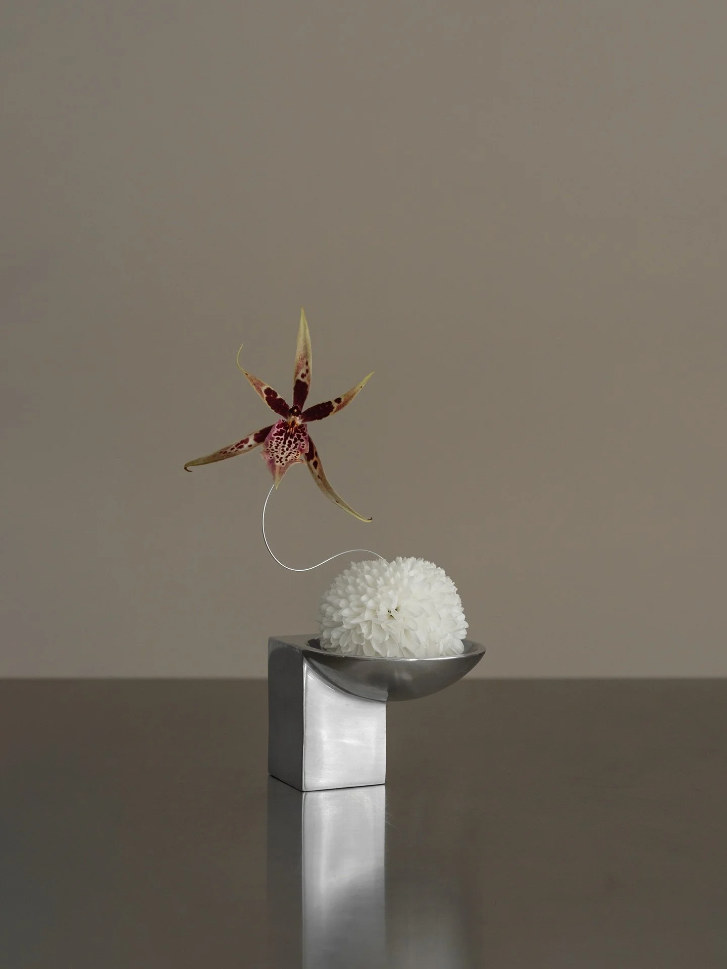 Quiet beginnings for 2026!
.
.
.
#bosque #floralconcept #floraldesign #floral #floralphotography #fineart #art #photography #winter #landart #christmas #season #florist #floraldesigner #lifestyle #christmasdecor #photoshoot #styling #minimal #whitede