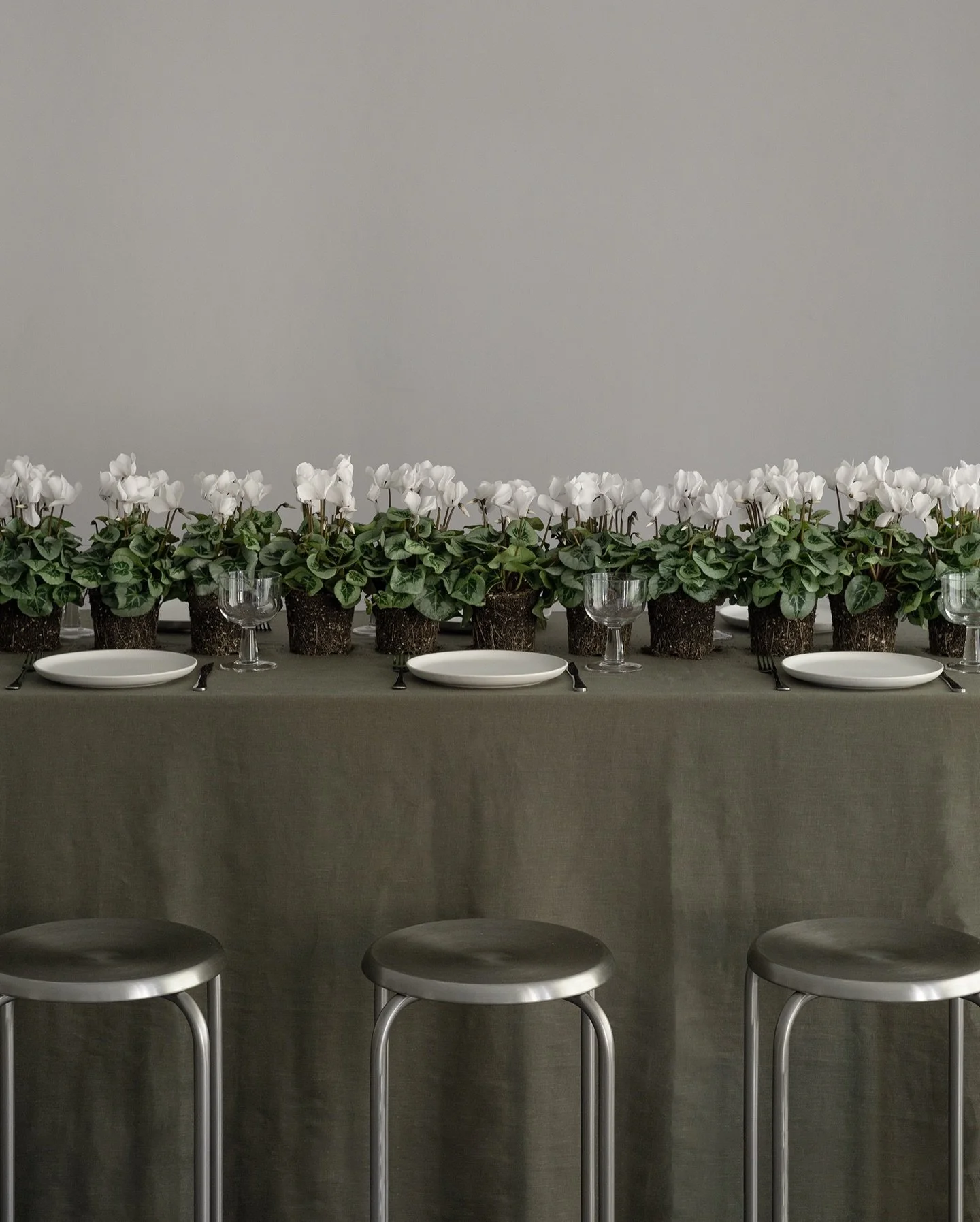 Cyclamen // Biophilic Design Table, 2024
.
.
.
#bosque #floralconcept #floraldesign #floral #floralphotography #fineart #art #photography #forflowerslovers #september #summer #season #florist #floraldesigner #lifestyle #fashion #photoshoot #styling #