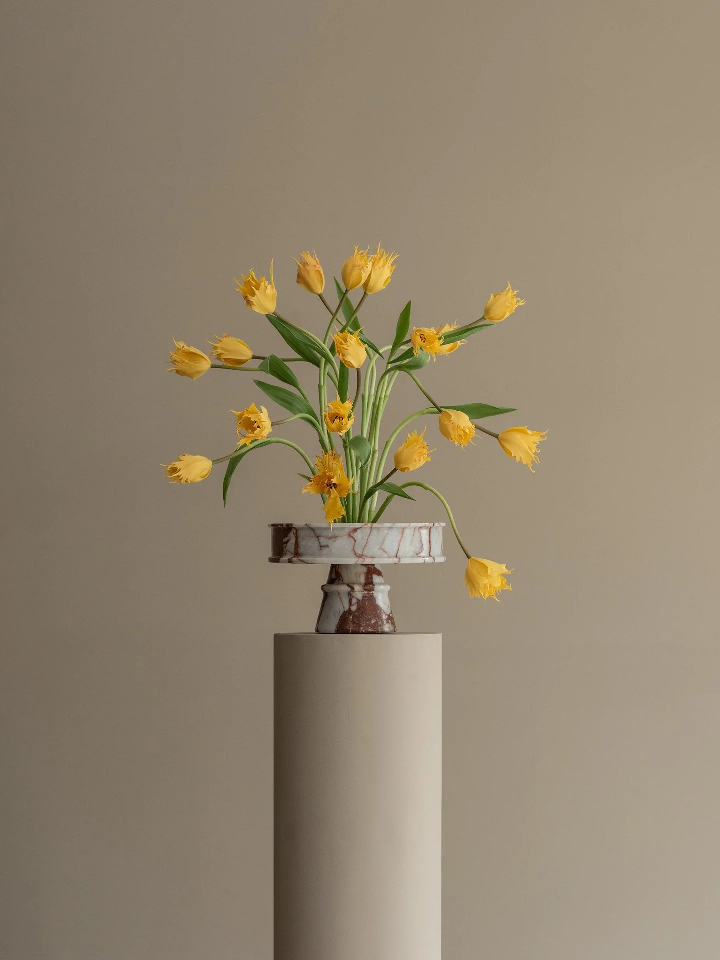 Tulip Fever, Part III
.
.
.
#bosque #floralconcept #studio #tulips #florist