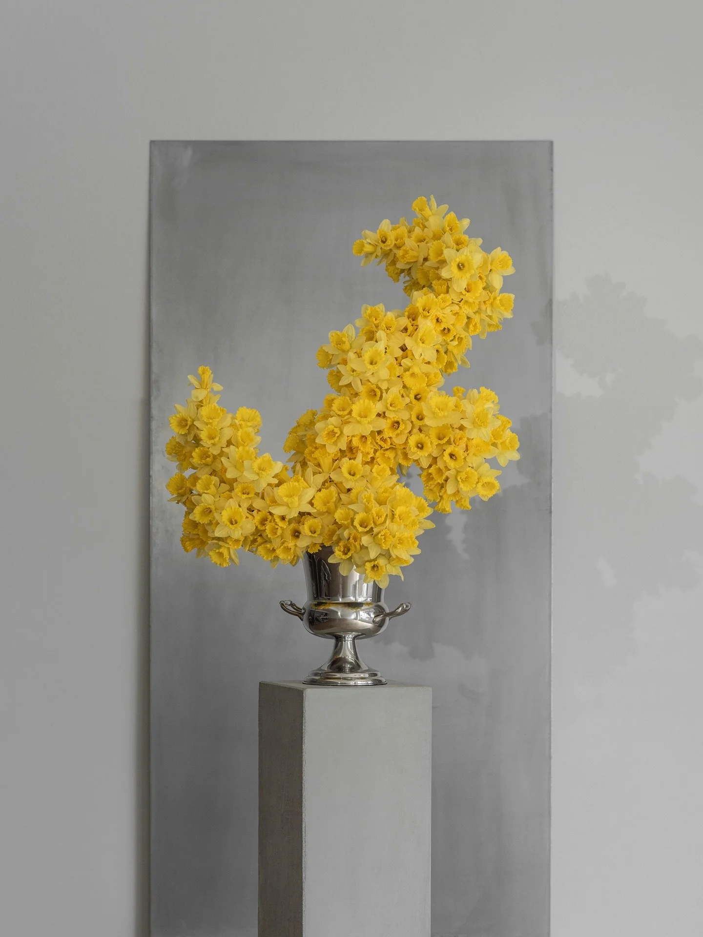 Daffodil Composition 
.
.
.
#bosqueconcepts #weddinginspo #tablescape #florist #spring