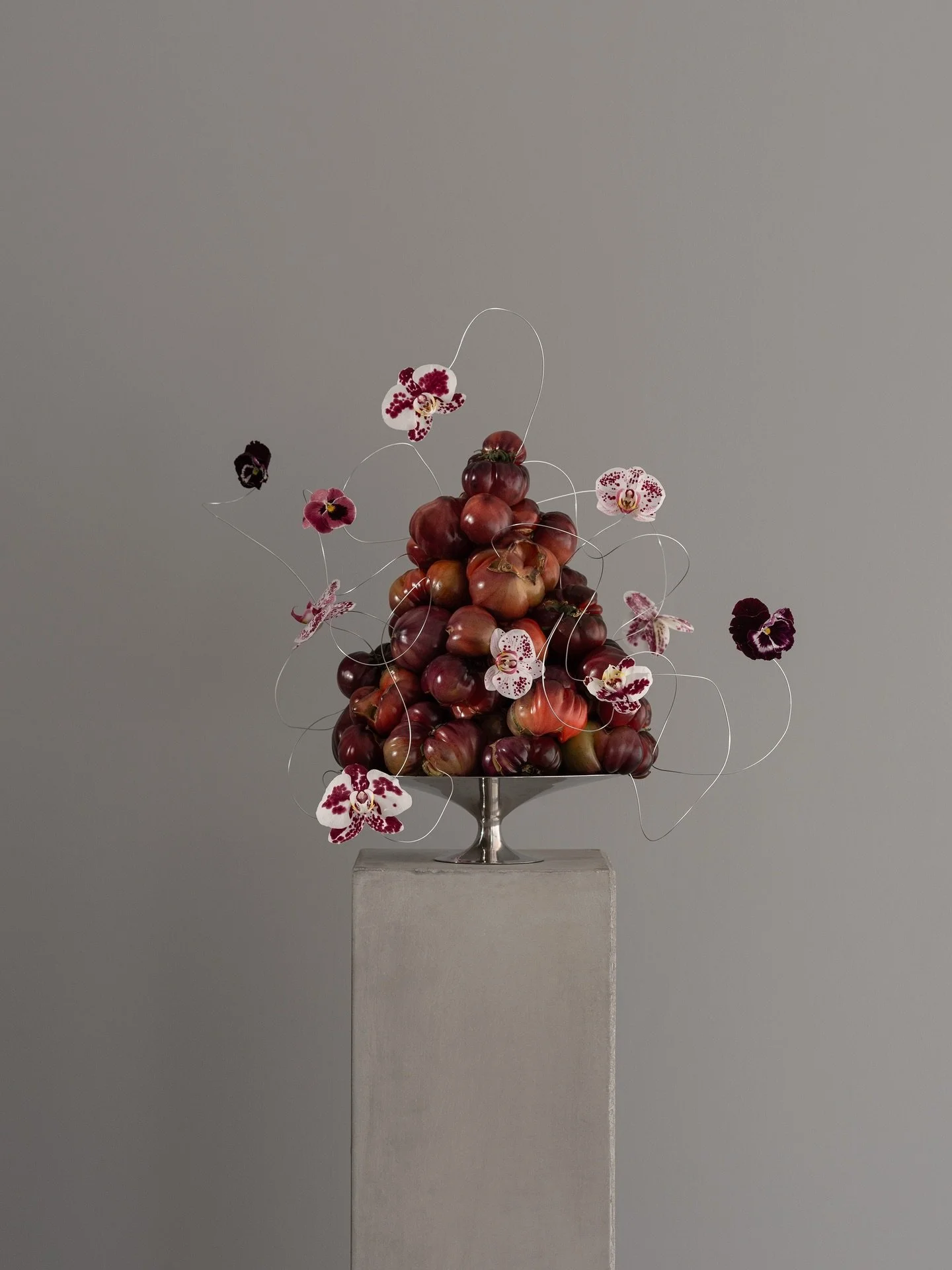 Unlikely Harmonies
.
Exploring the strangeness of unexpected pairings, where wrinkled tomatoes and speckled phalaenopsis meet without hesitation. In this shared freedom, imperfections become a language, shaping a quiet, unfamiliar beauty that resists