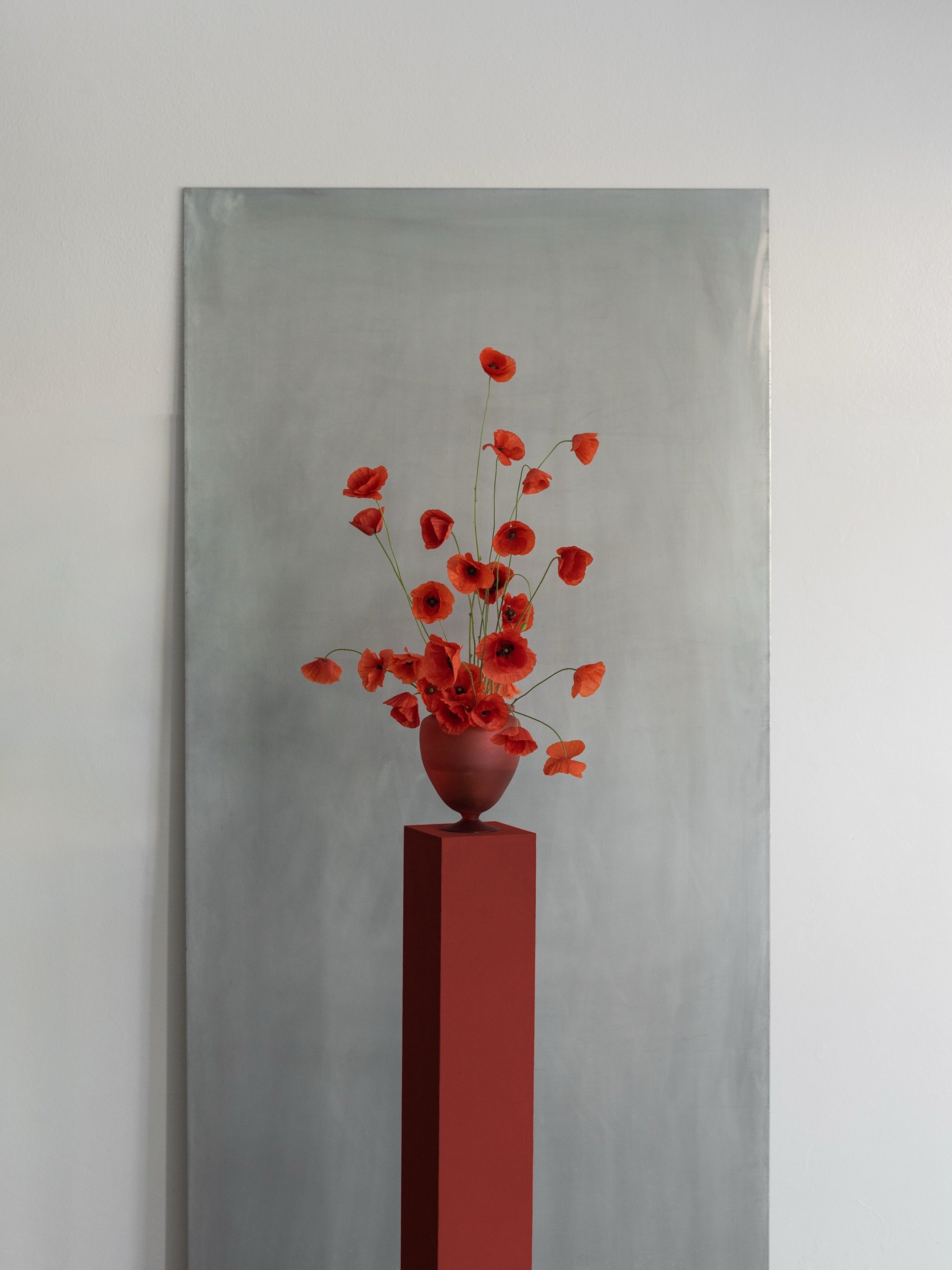 Poppies, slaying it!
.
.
.
#florist #poppies #flower #studio #red