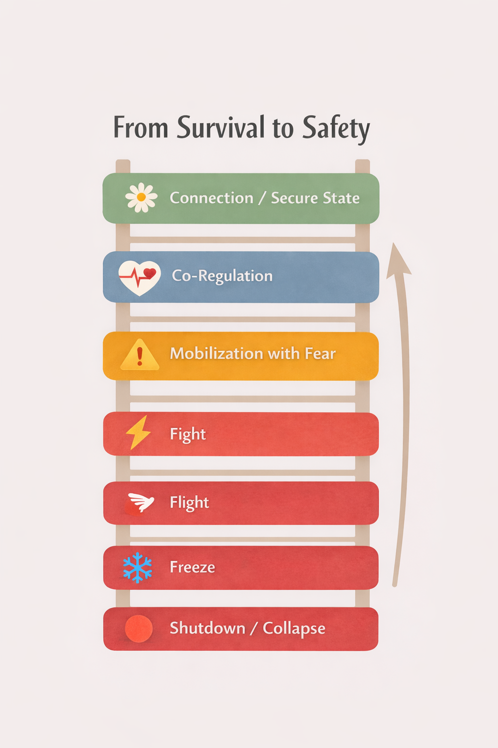 Infographic titled “From Survival to Safety” showing the polyvagal ladder, including shutdown, fight or flight, mobilization with fear, co-regulation, and secure connection states in the nervous system.