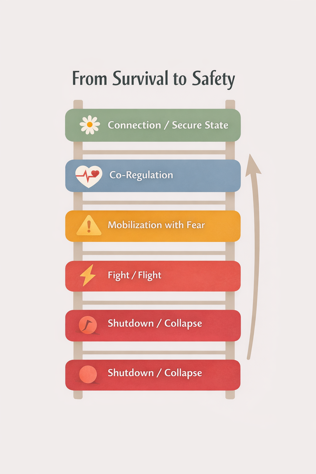 Infographic titled “From Survival to Safety” showing the polyvagal ladder, including shutdown, fight or flight, mobilization with fear, co-regulation, and secure connection states in the nervous system.