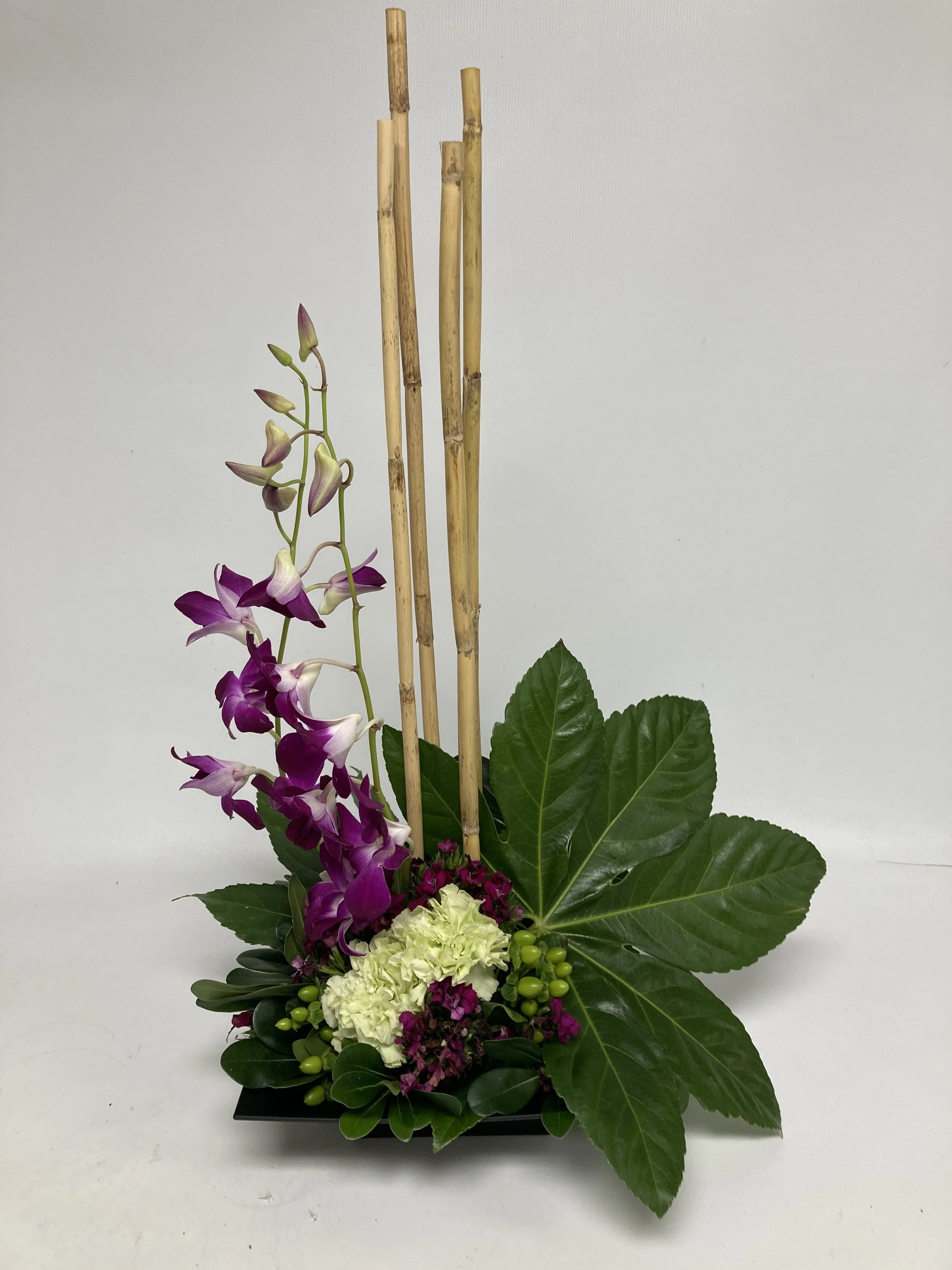 Tropical with orchids