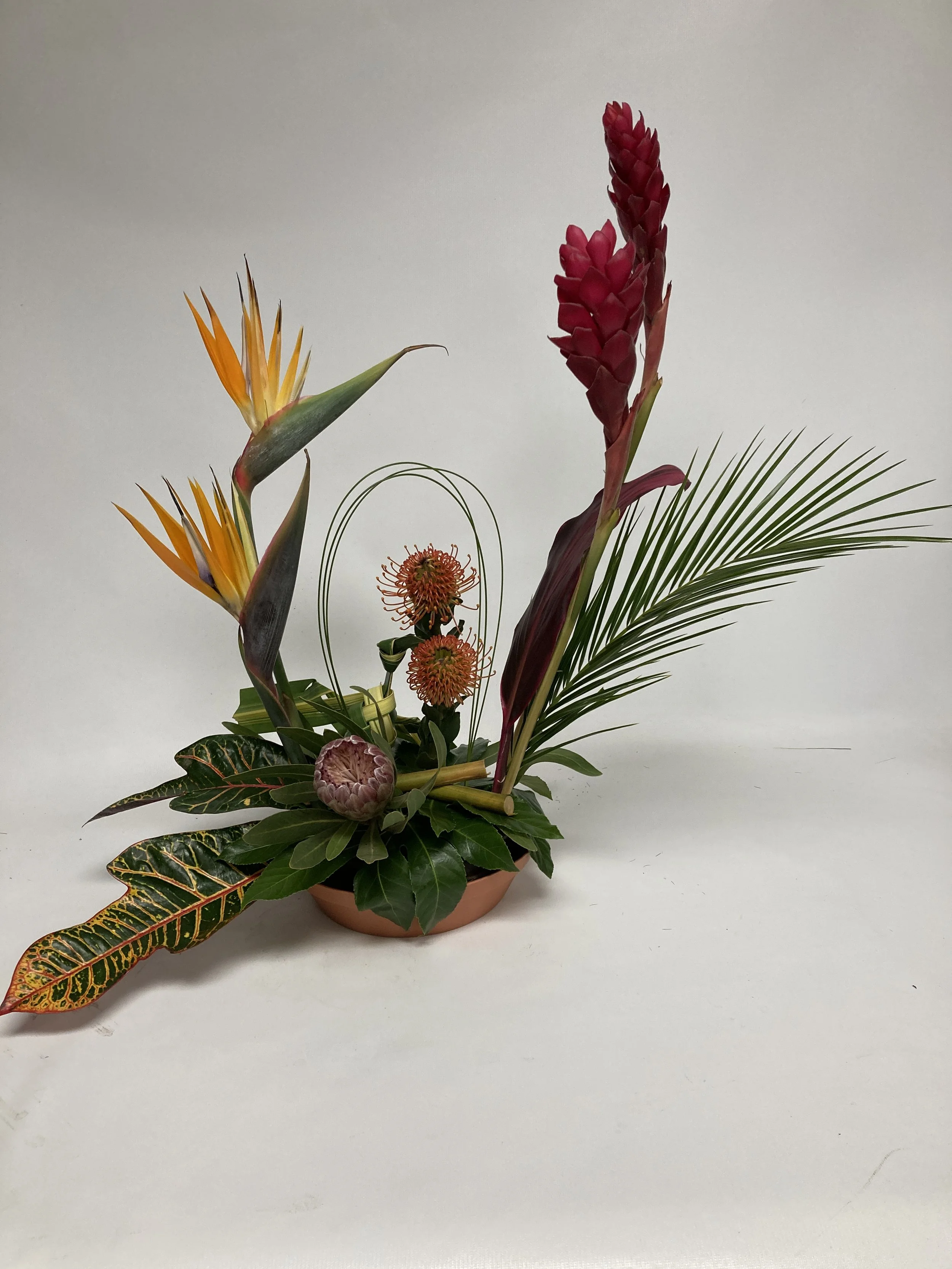 Tropical arrangement