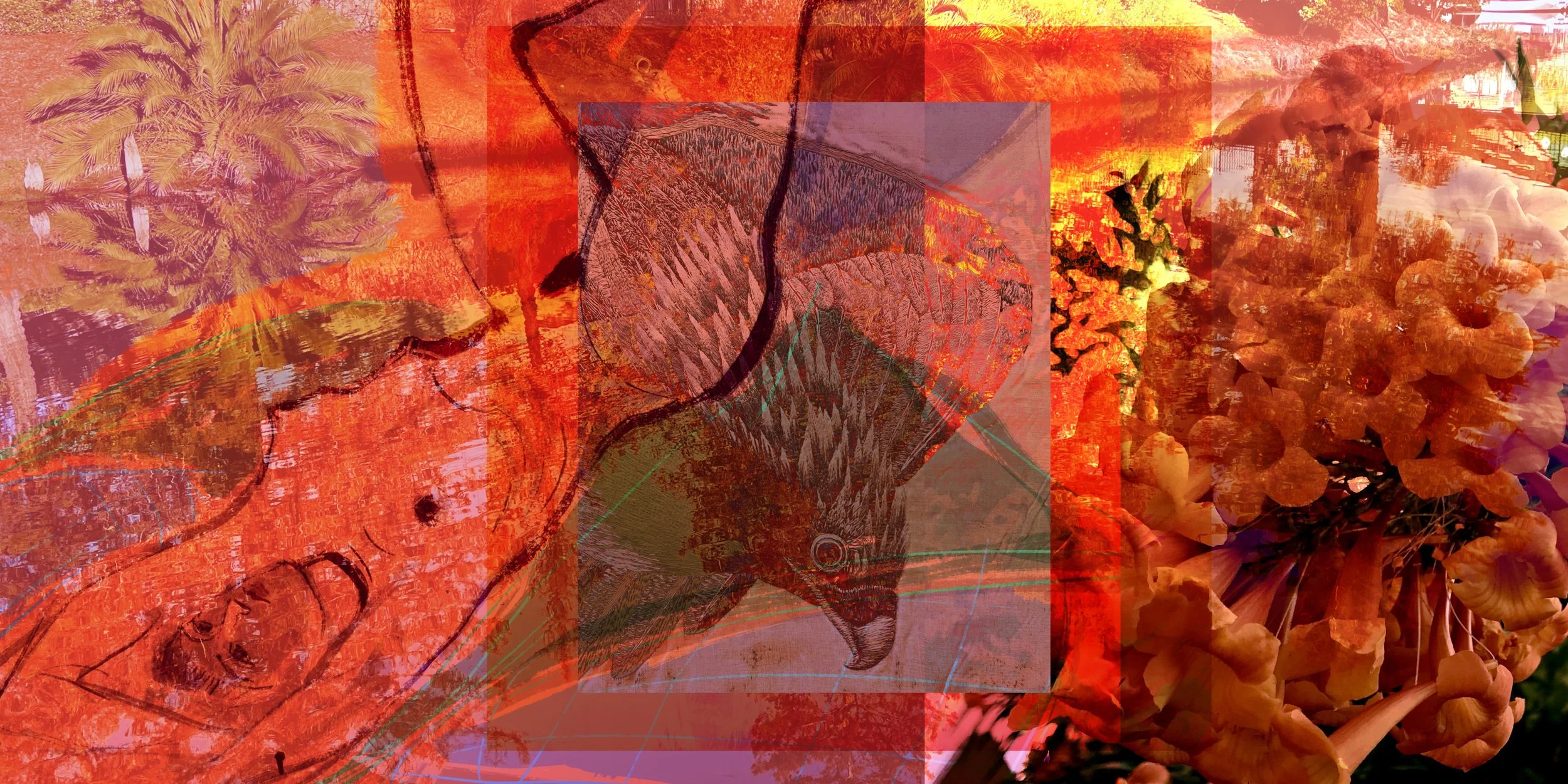 Susan R. Kirshenbaum.jpeg