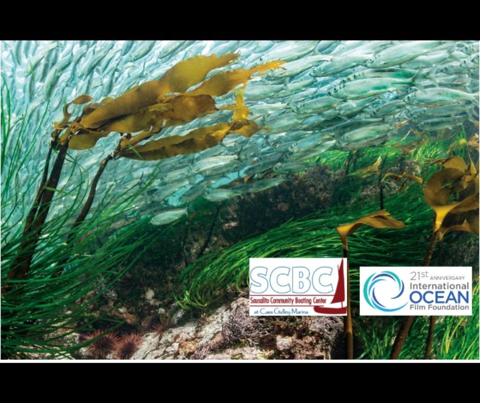 11th Annual SCBC Herring Festival — Sausalito Center For The Arts
