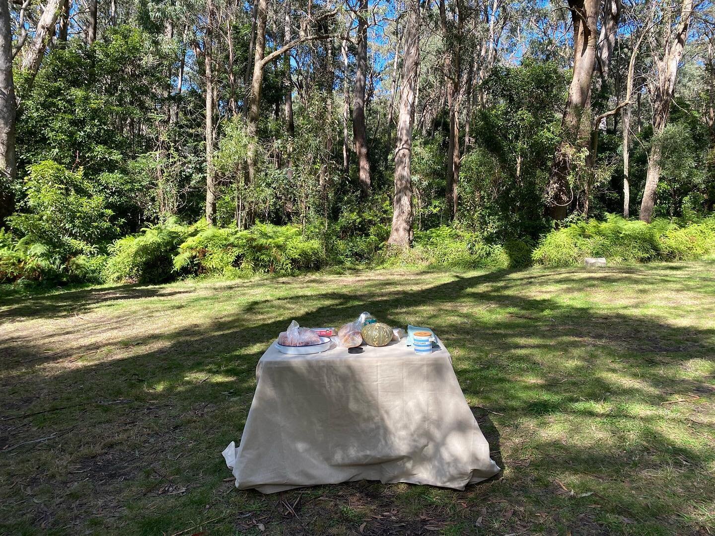 🎥 Regional Explorer Foundation Series coming soon to YouTube 

First up;
Camp fires 101
Camp fire easy favourites
Camp fire beginner fire cooking 

#exploremore @visitnsw 
#camping #campingaustralia 
#firecooking