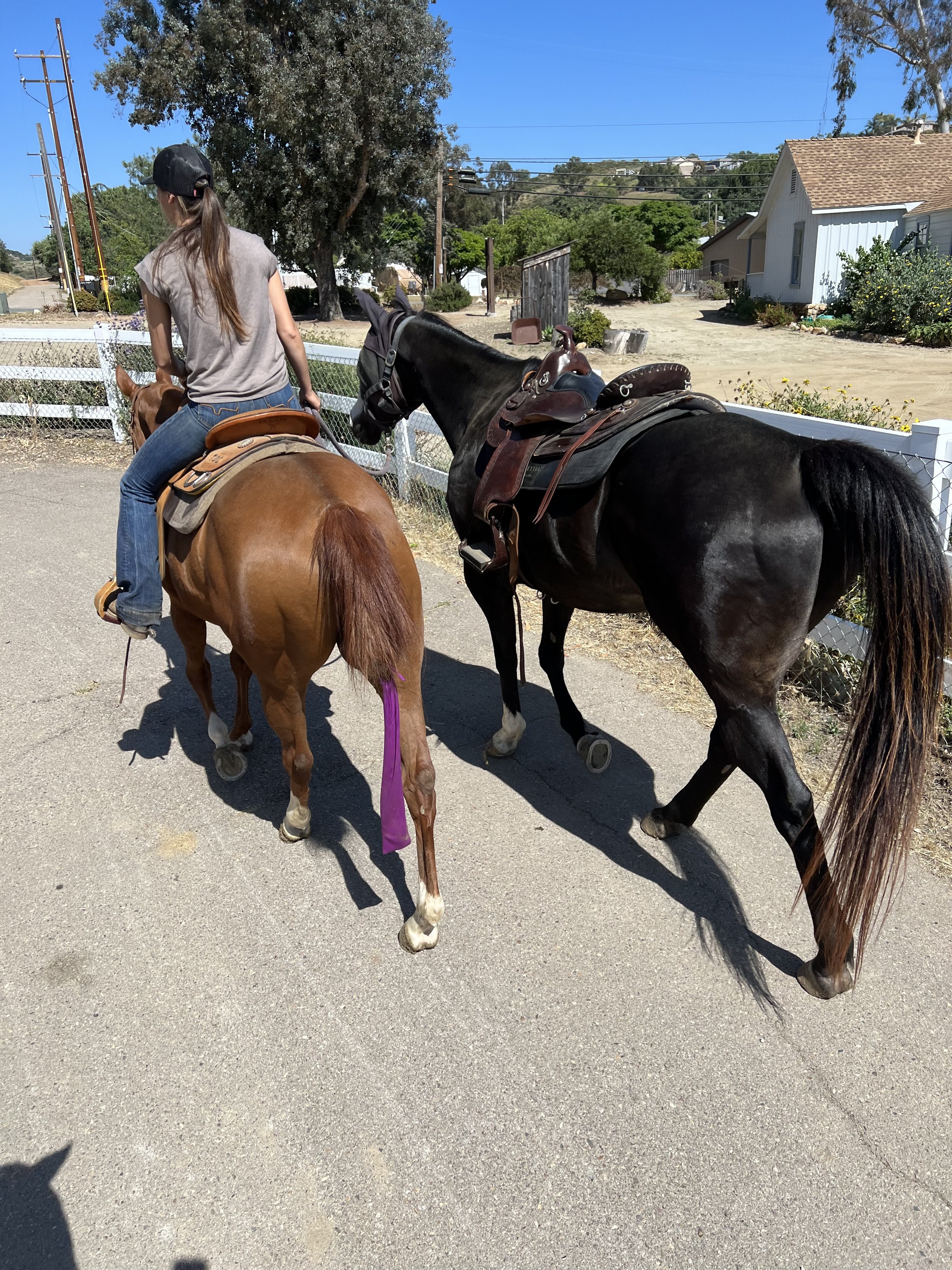 A woman riding a brown horse and a black horse walking along a paved path, with a white fence and houses in the background.