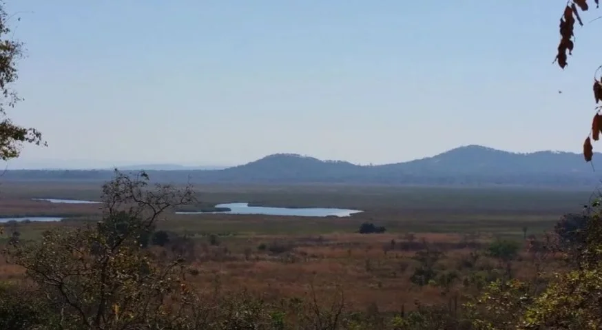 Scenic view of a wetland with small lakes, surrounded by grassy plains and rolling hills in the distance, under a clear blue sky.