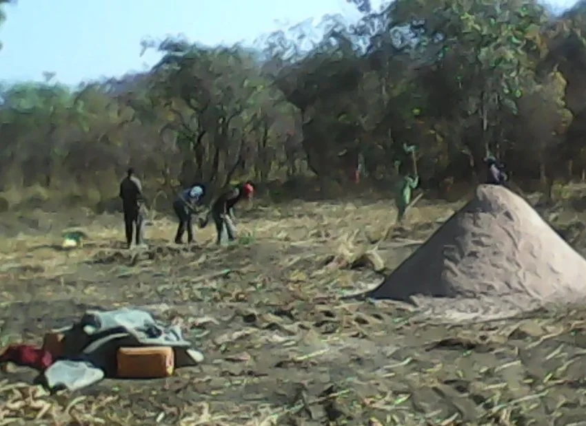 People working outdoors in a field with trees in the background, with a mound of soil or sand and some belongings on the ground.
