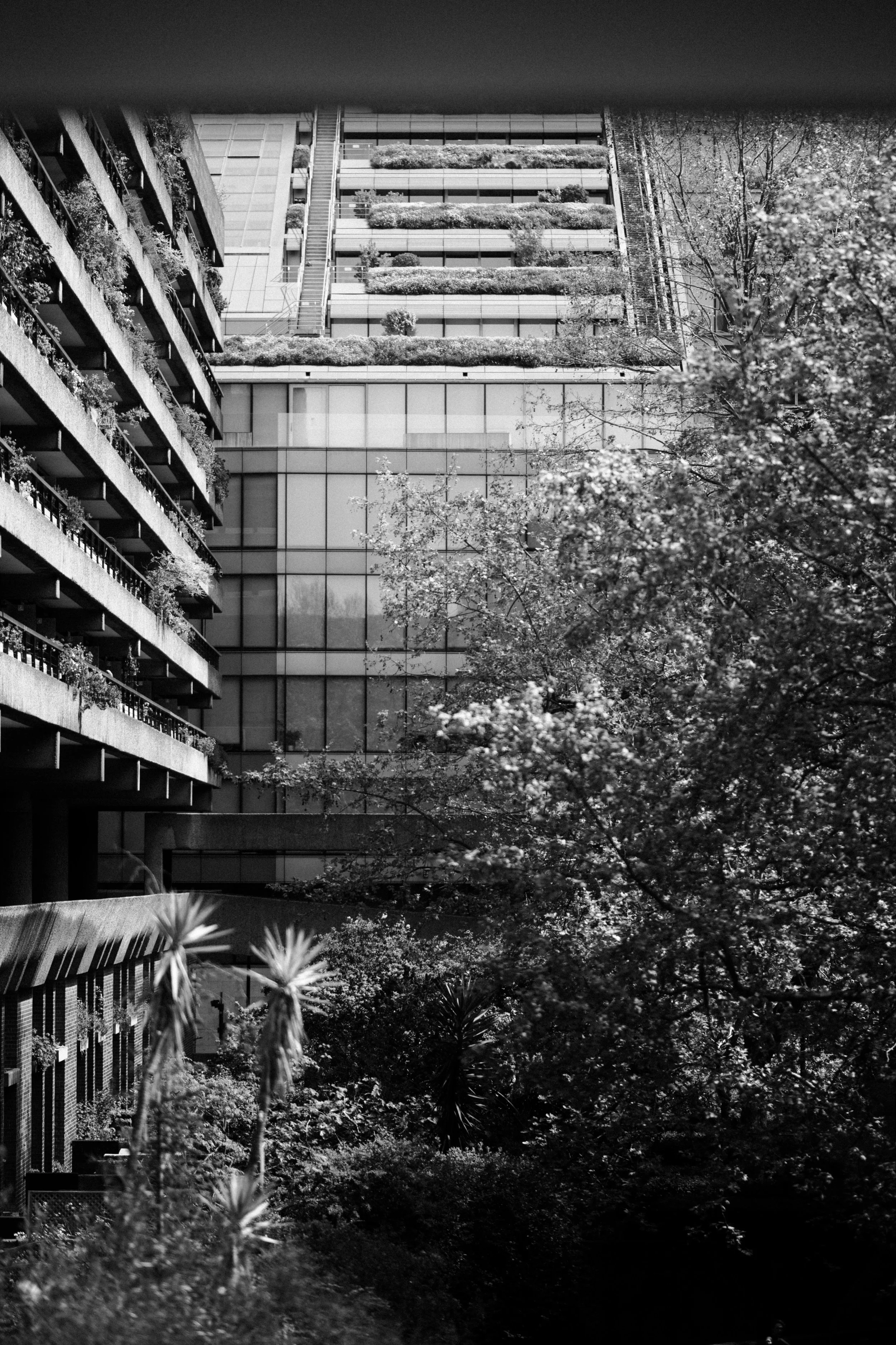 Barbican April 2026_107.jpg