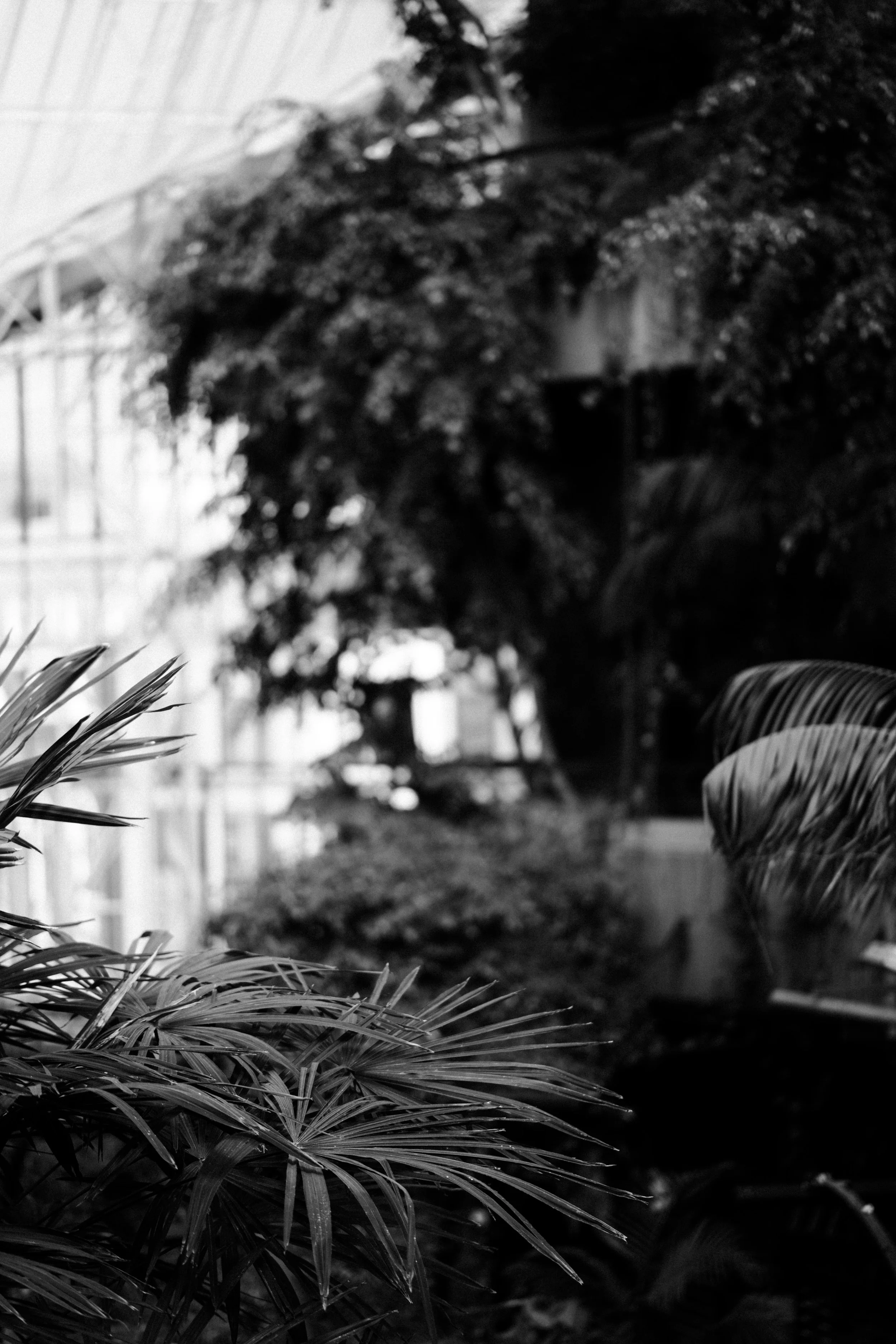 Barbican April 2026_167.jpg