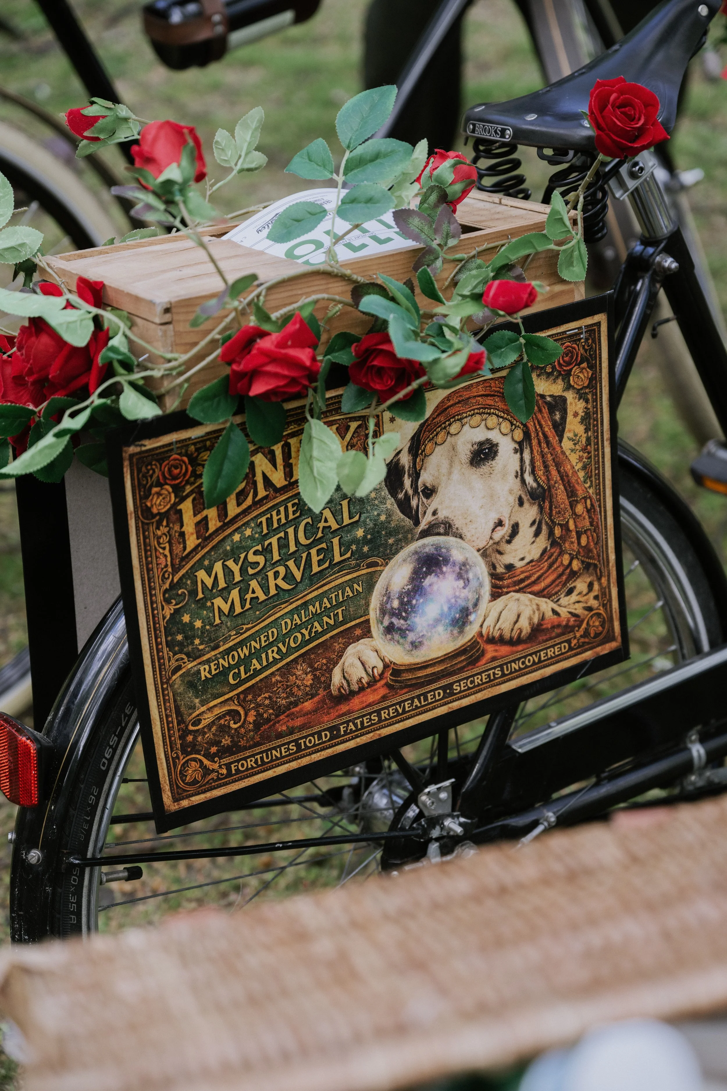 Tweed Run 2026_1500.jpg