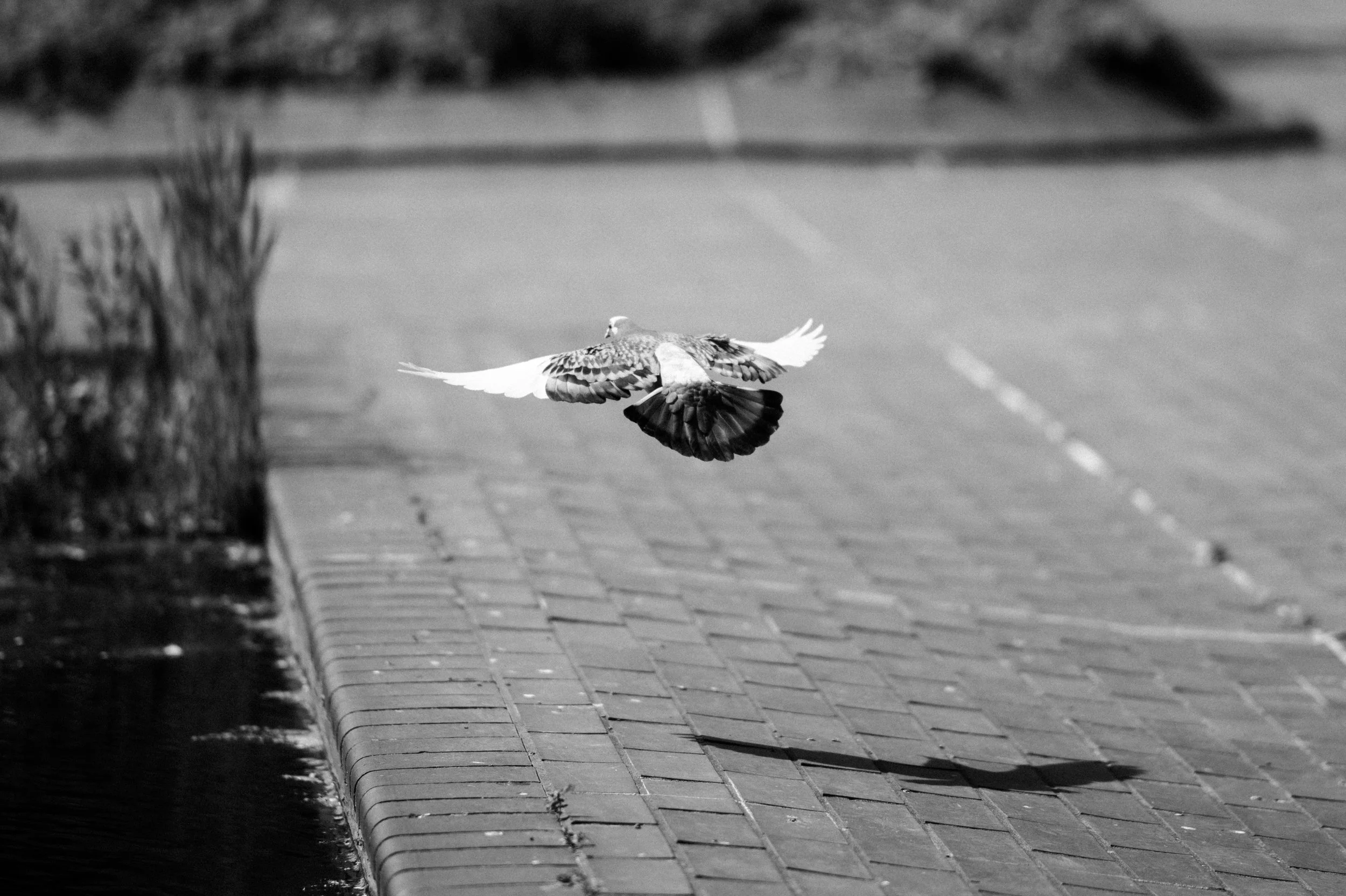 Barbican April 2026_29.jpg