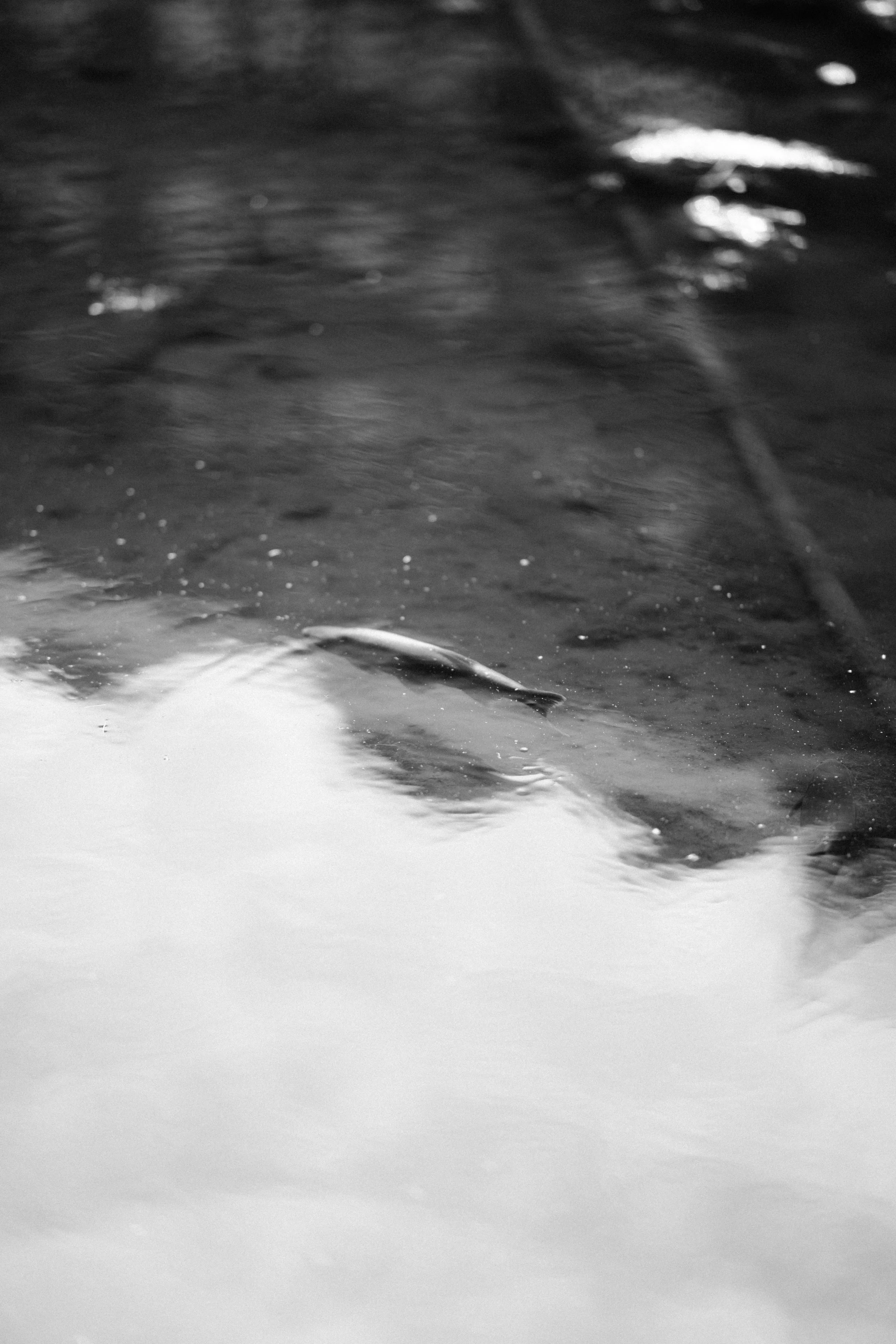 Barbican April 2026_26.jpg