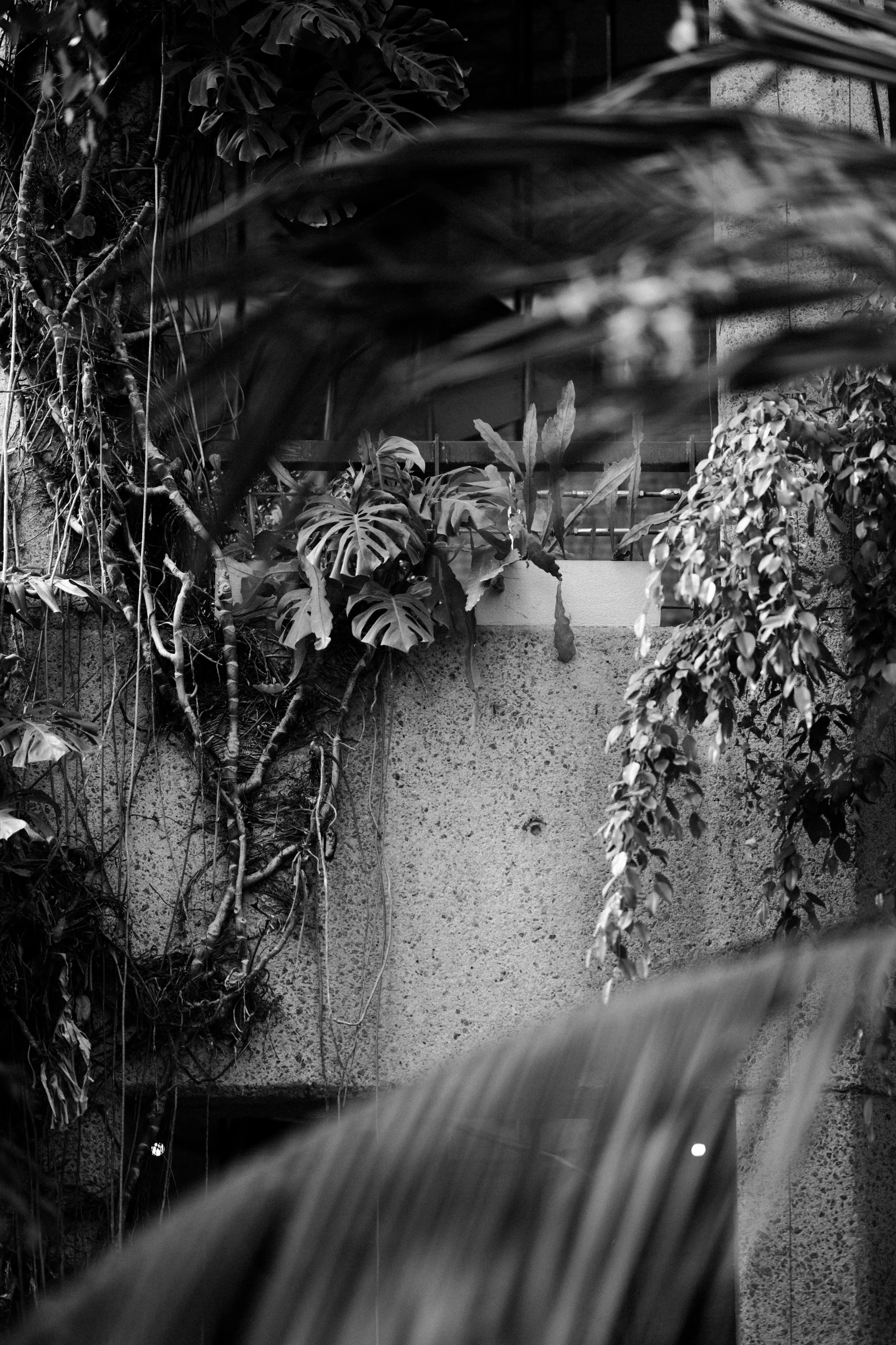 Barbican April 2026_157.jpg