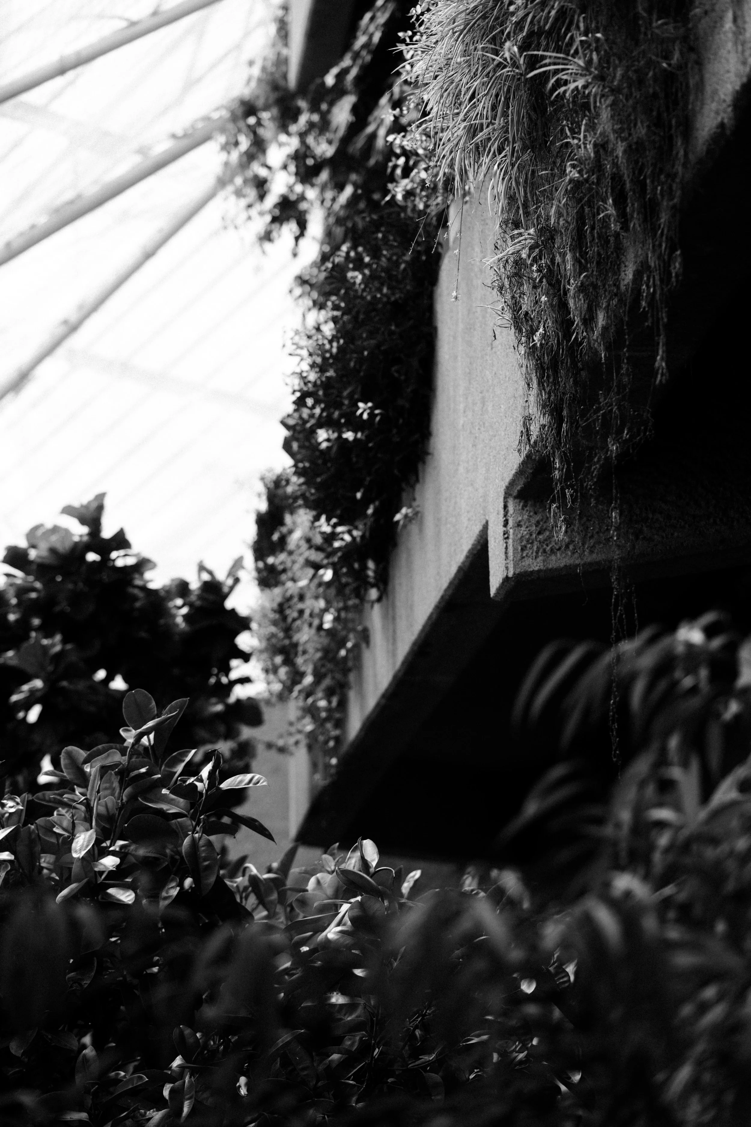 Barbican April 2026_160.jpg