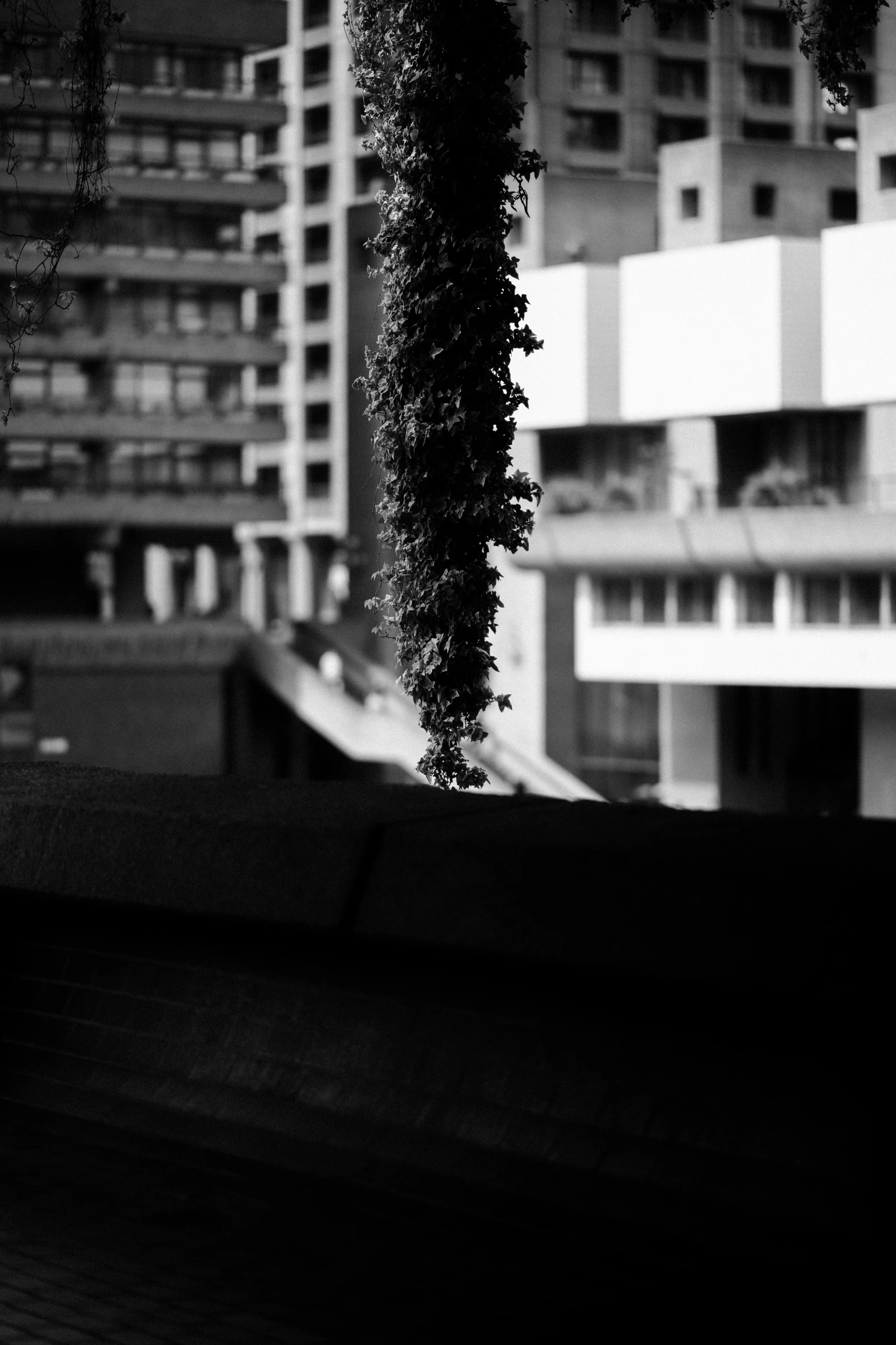 Barbican April 2026_141.jpg